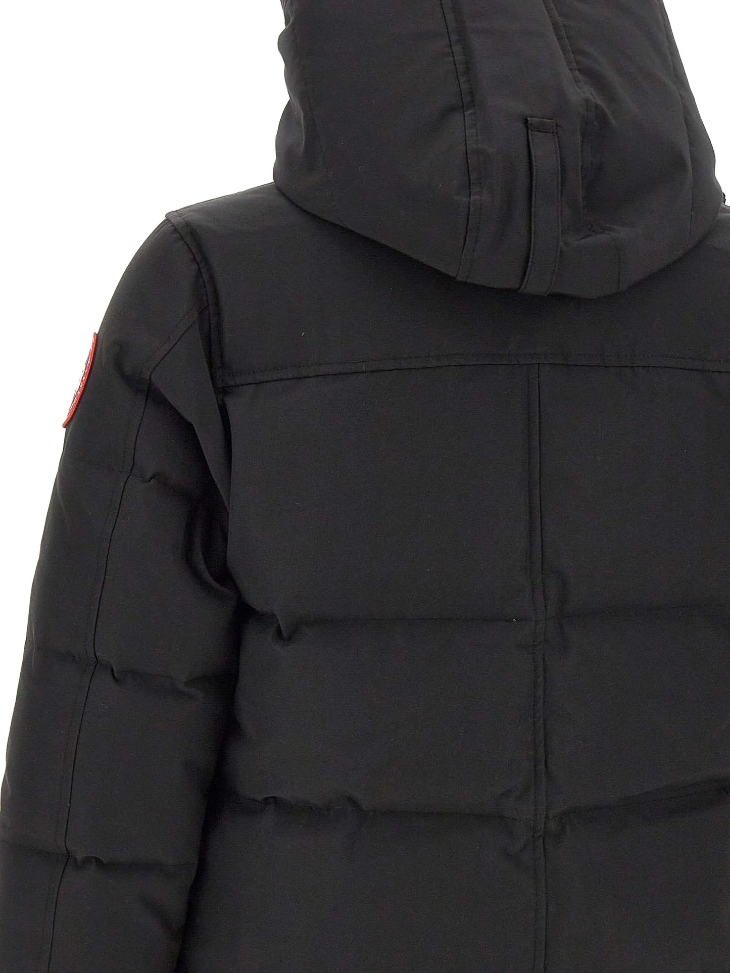 Macmillan jacket