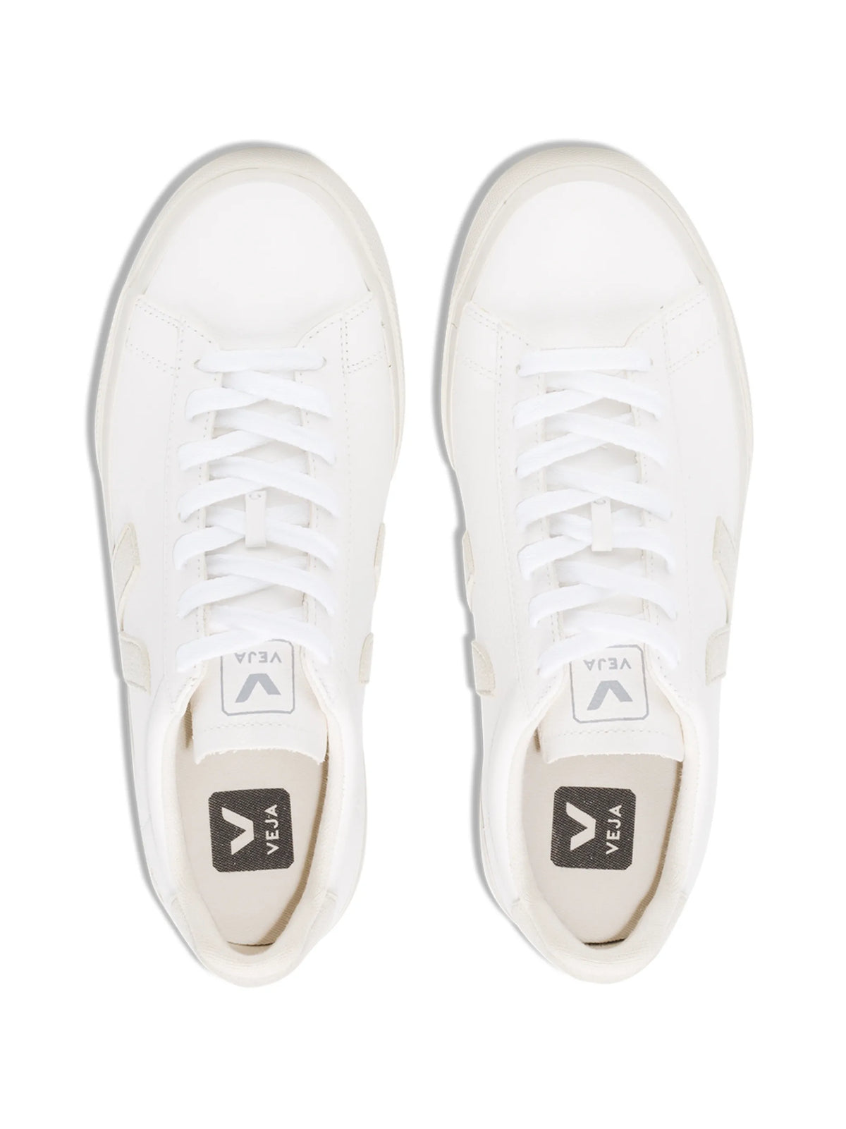 Campo low-top sneakers