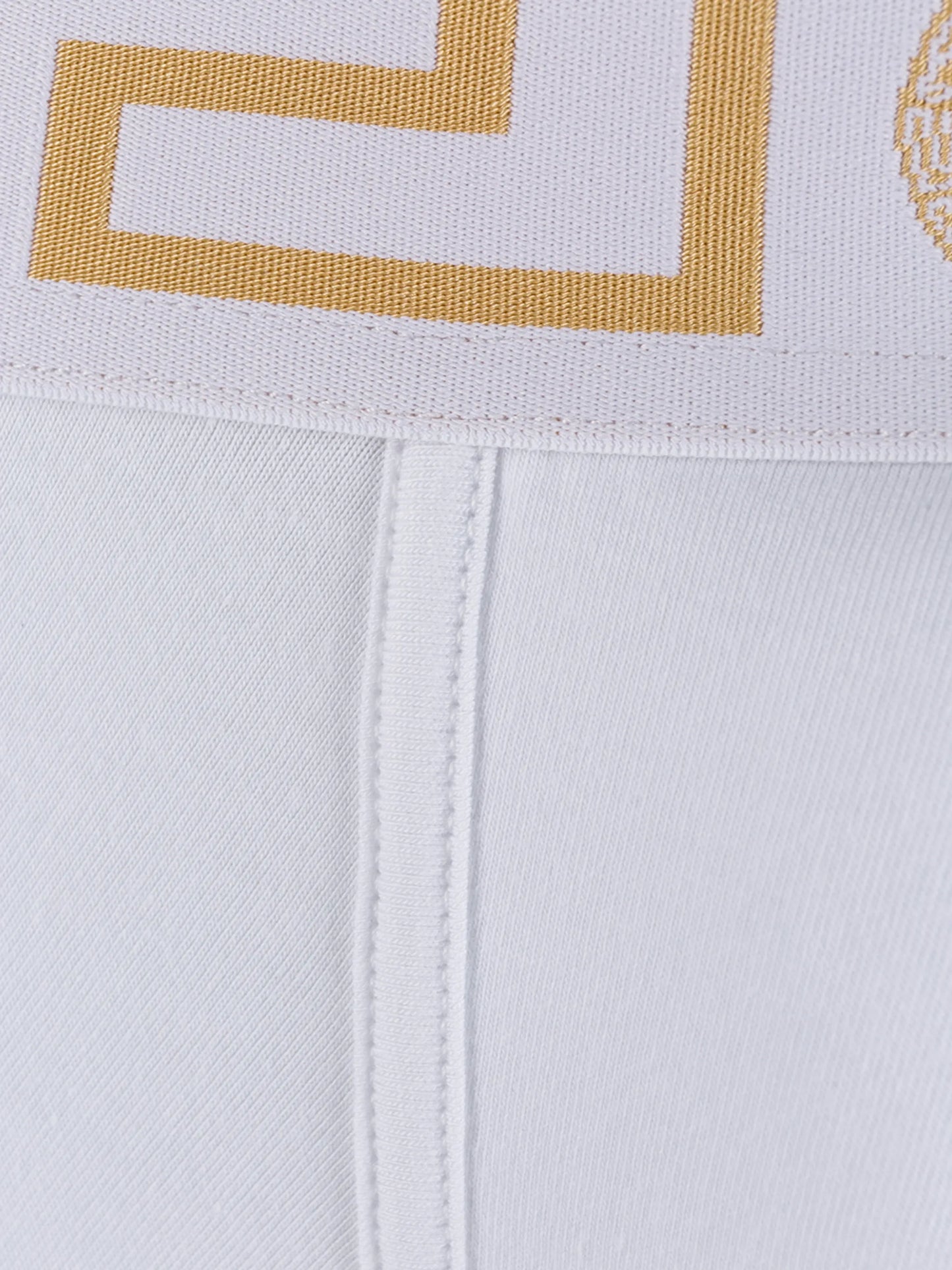 Greca Border boxer briefs