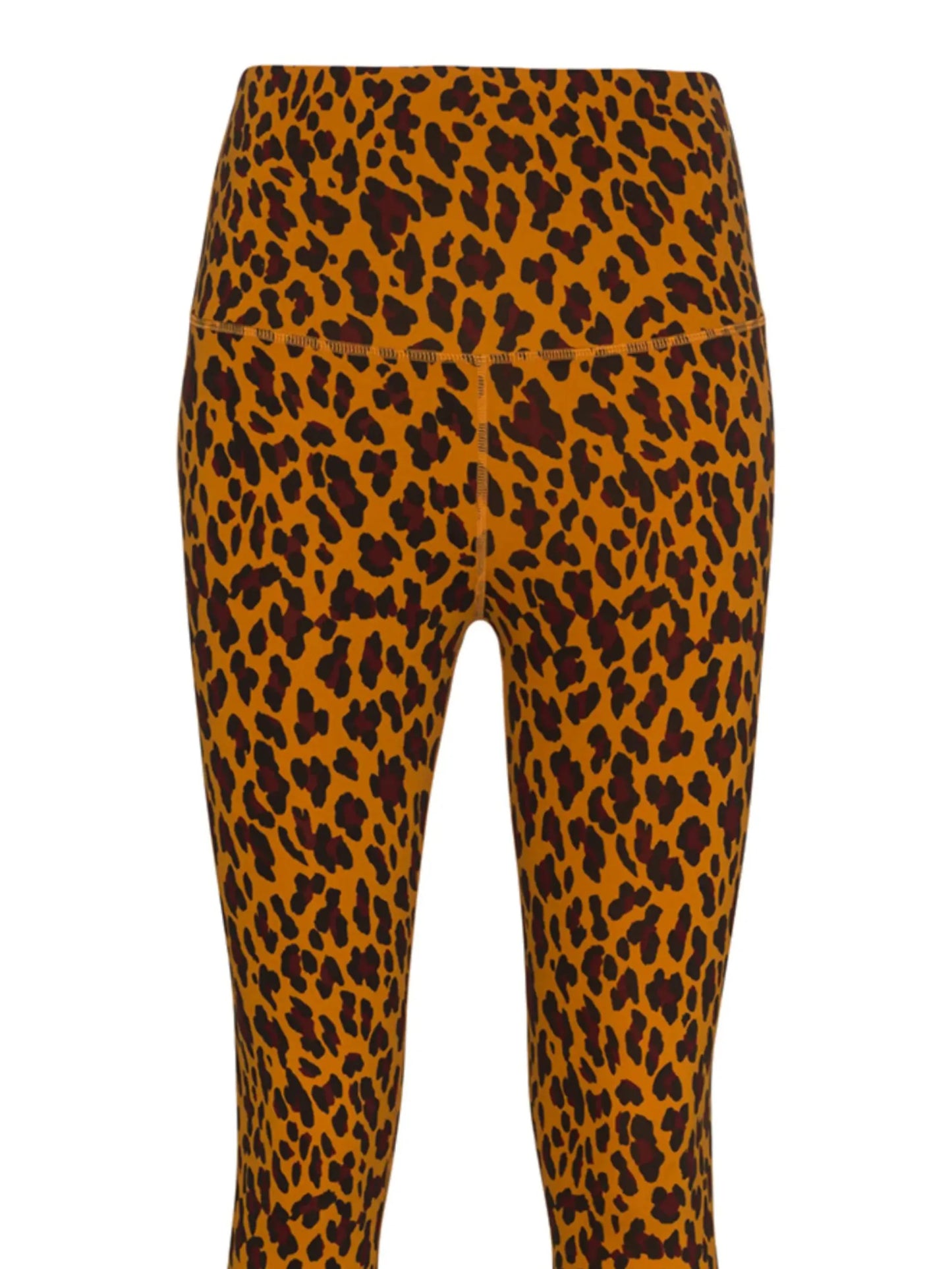 Century cheetah-print leggings