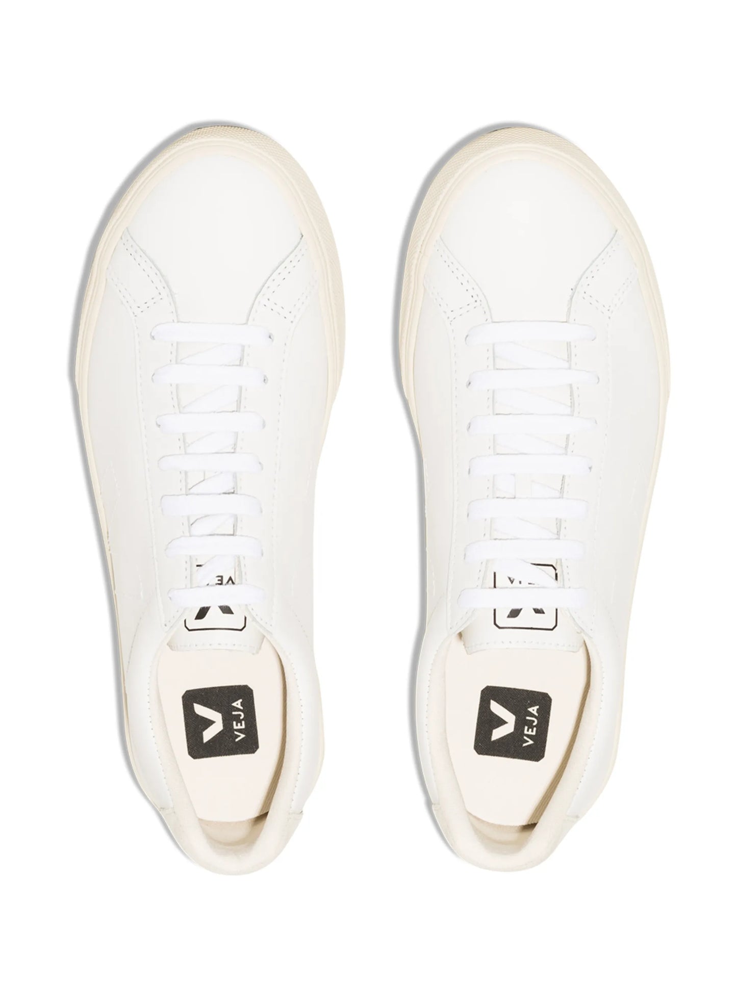 Esplar low-top leather sneakers