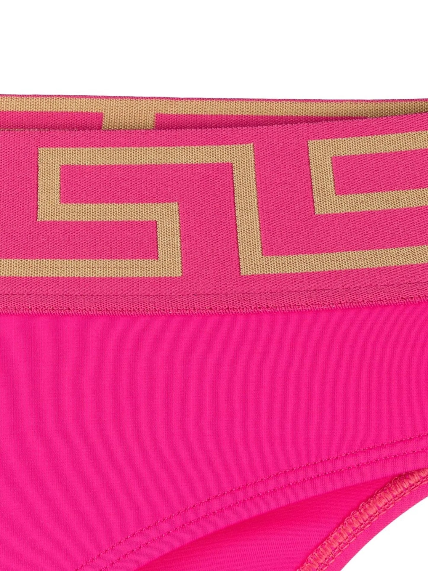 Greca Border bikini bottoms