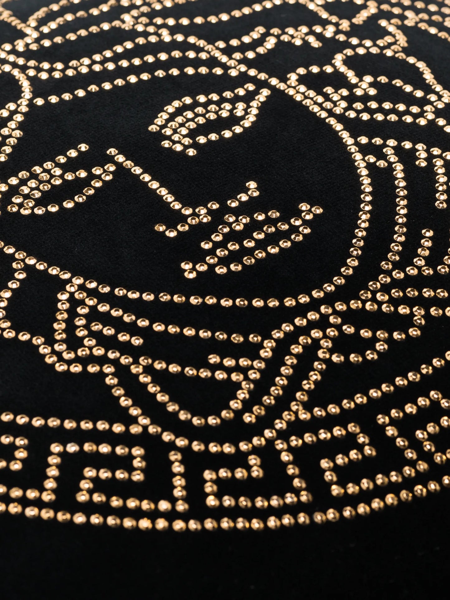 sequin Medusa logo cushion