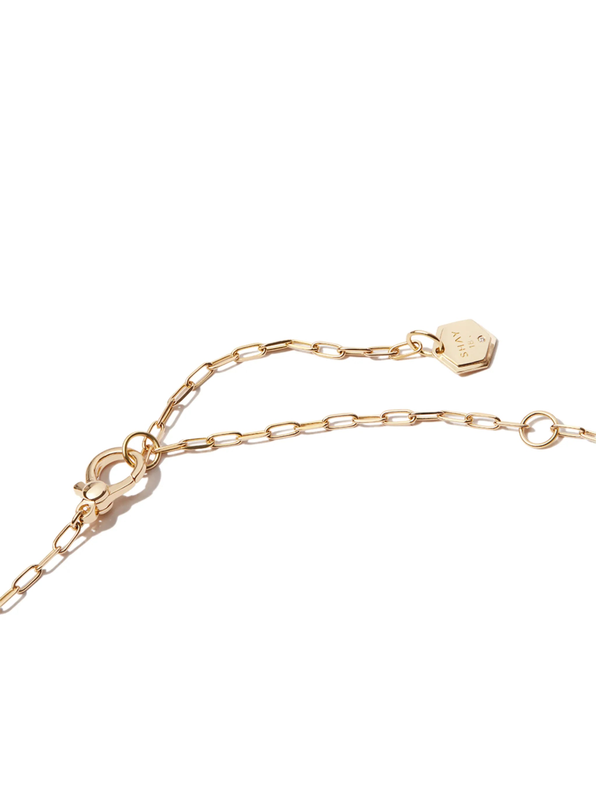 18kt yellow gold Leo diamond and enamel necklace