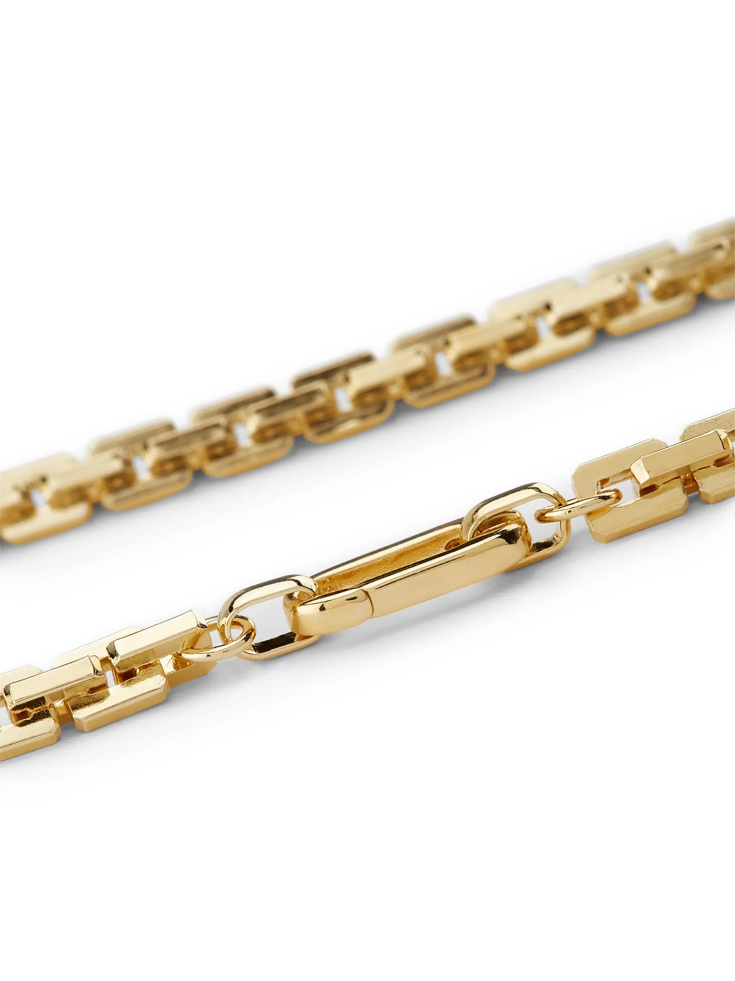 chain-link clasp-fastening necklace