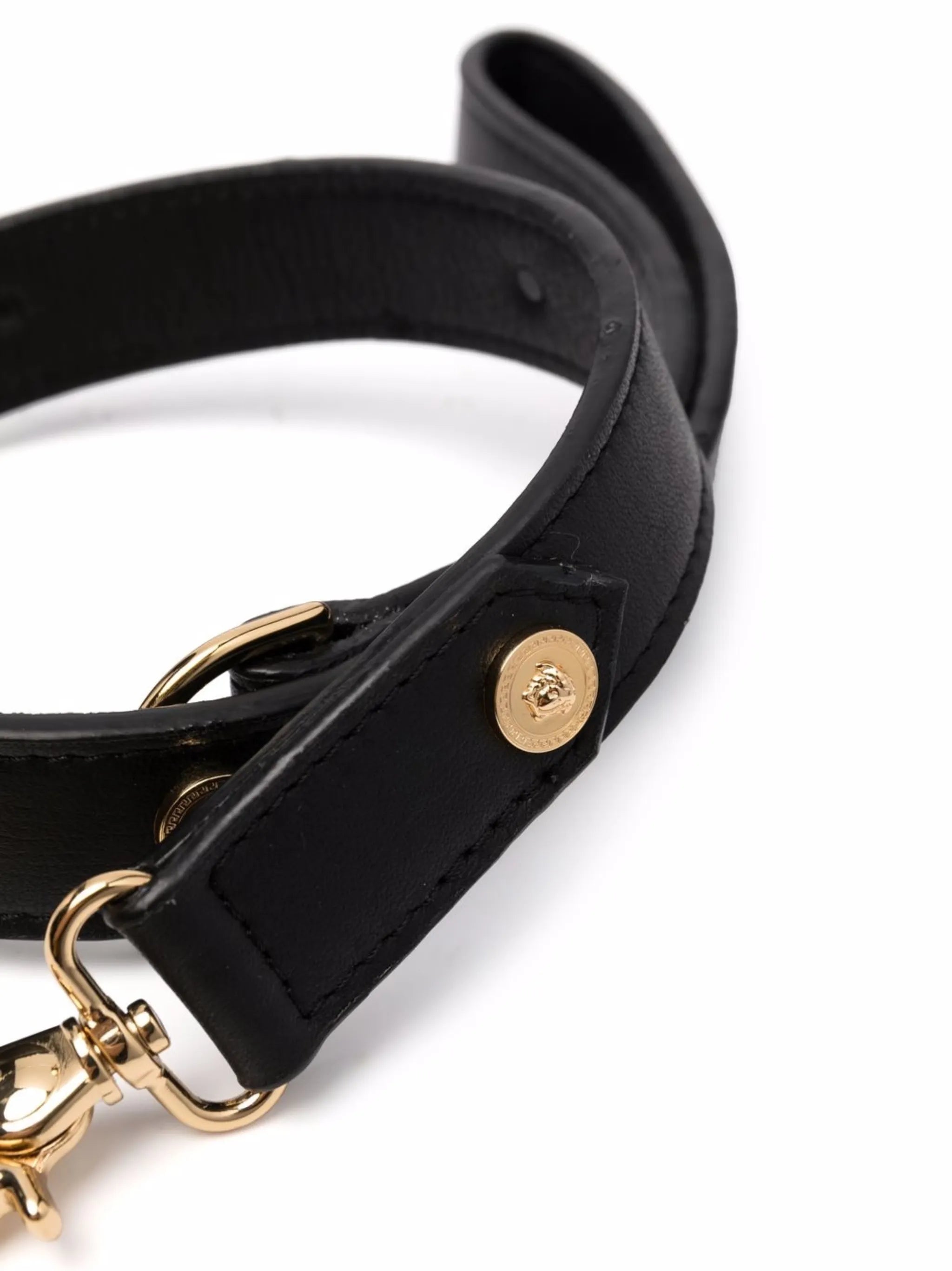 large Icon pet leash