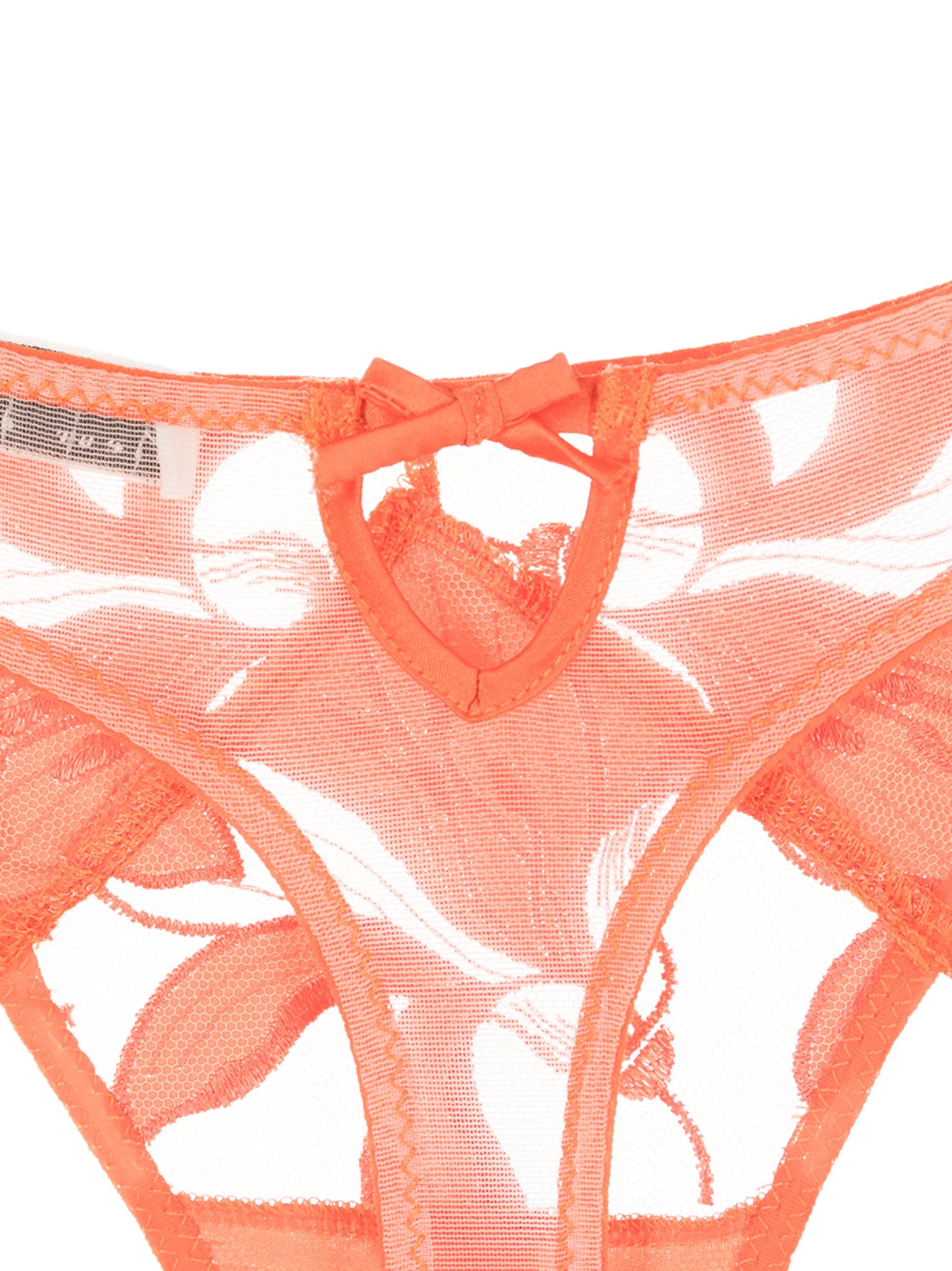Lily floral-embroidered hipster thong