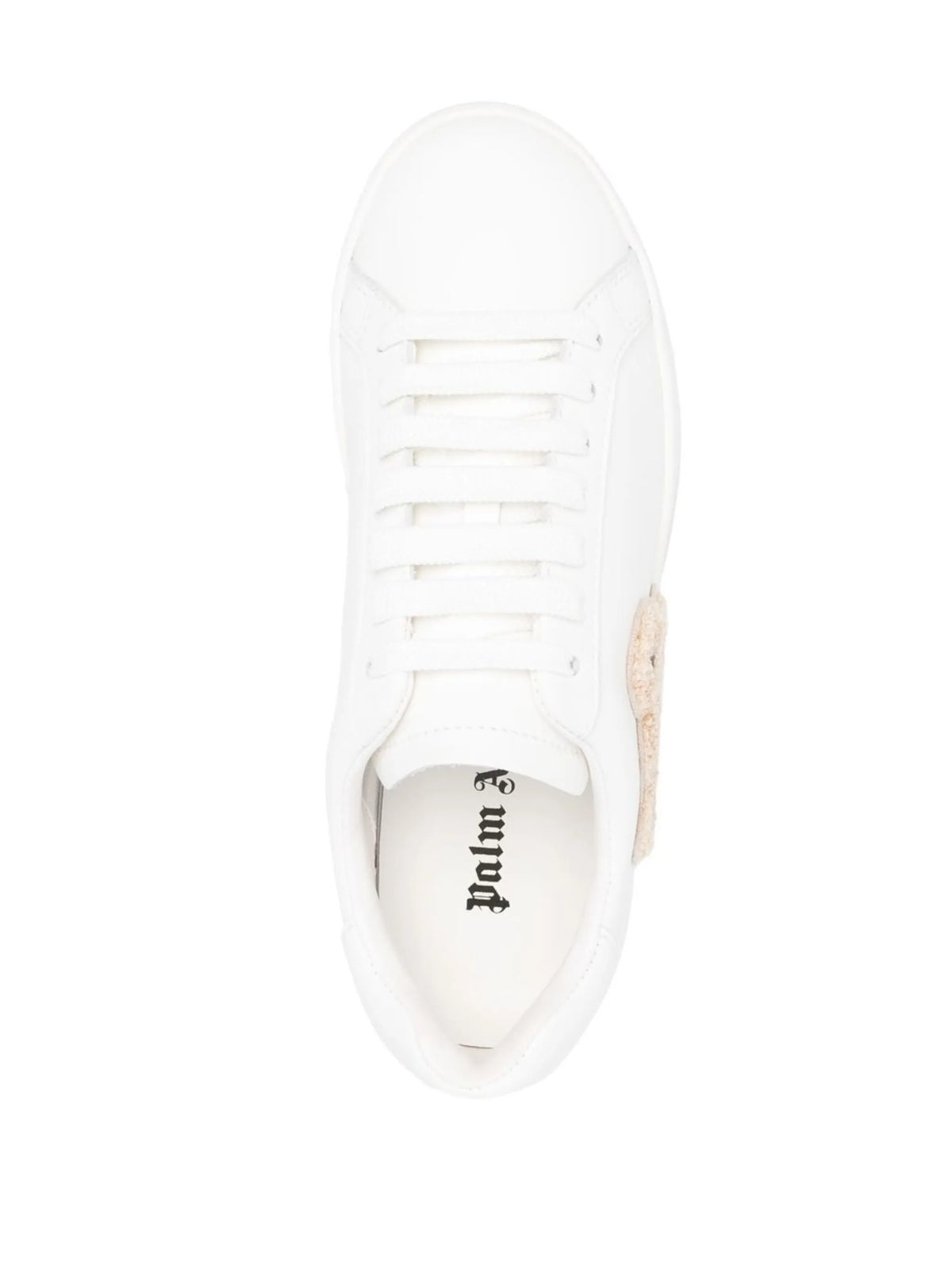 Teddy Bear low-top sneakers