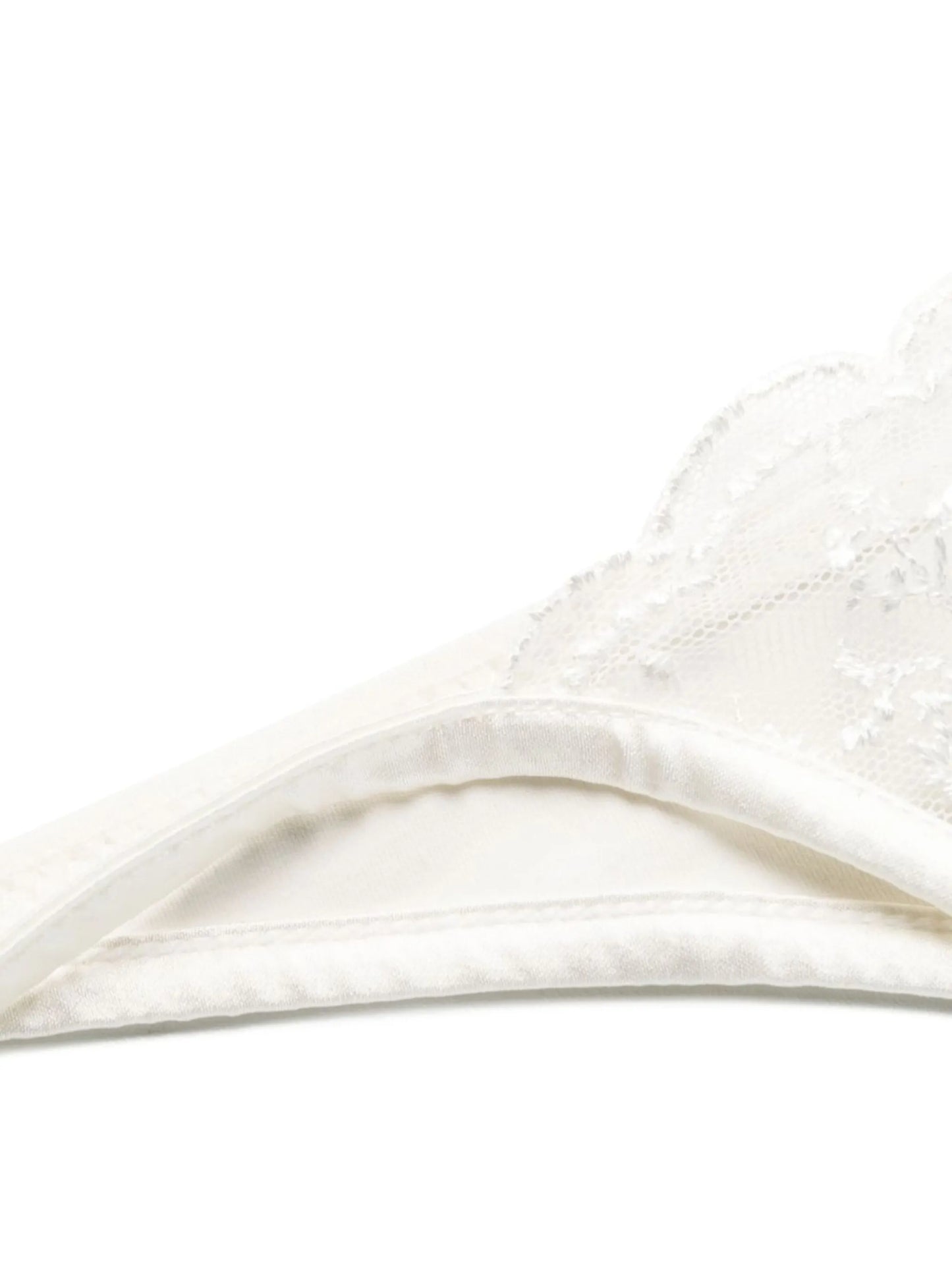 Midnight Botanica sheer briefs
