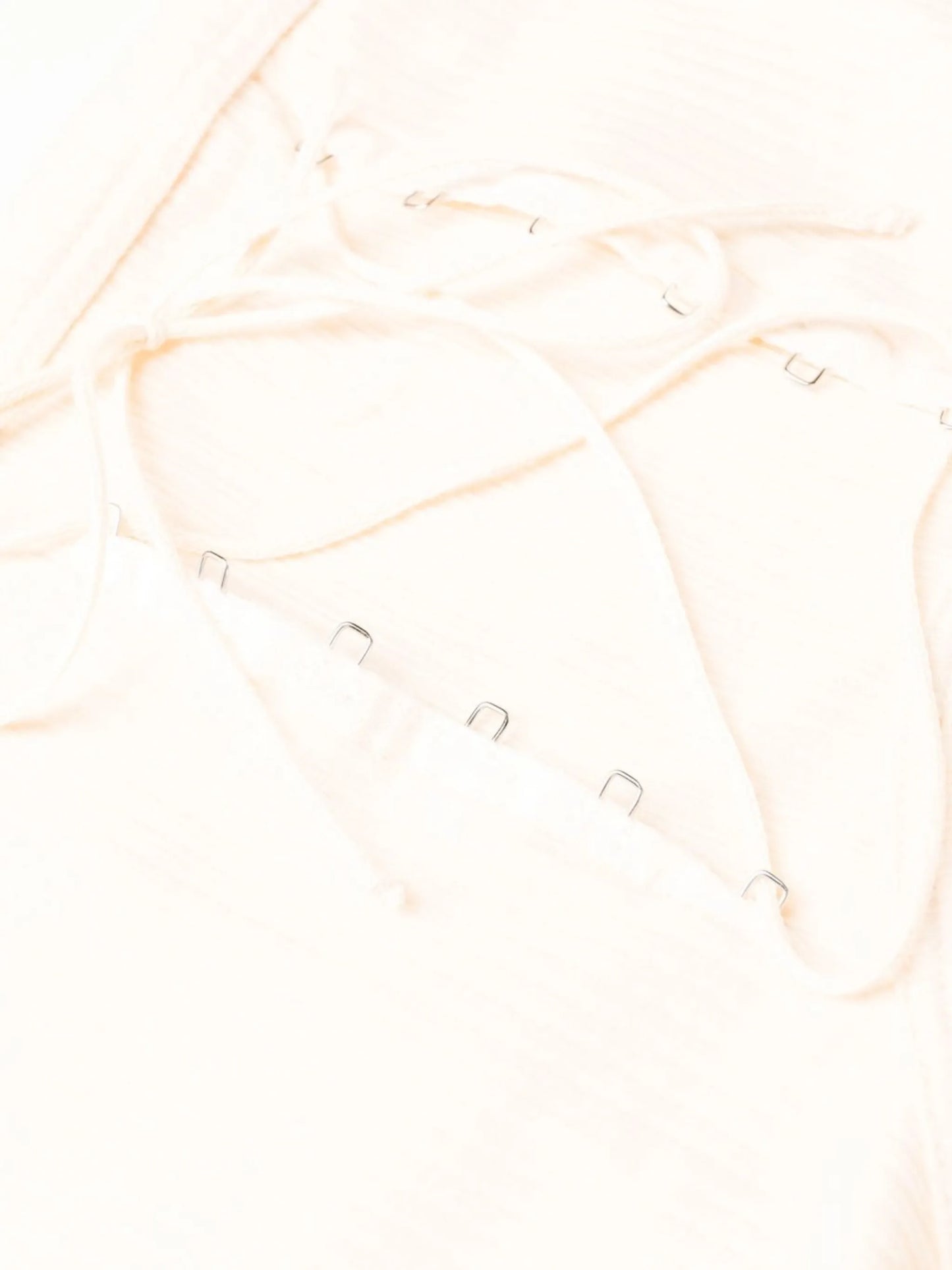 high-waisted semi-sheer briefs