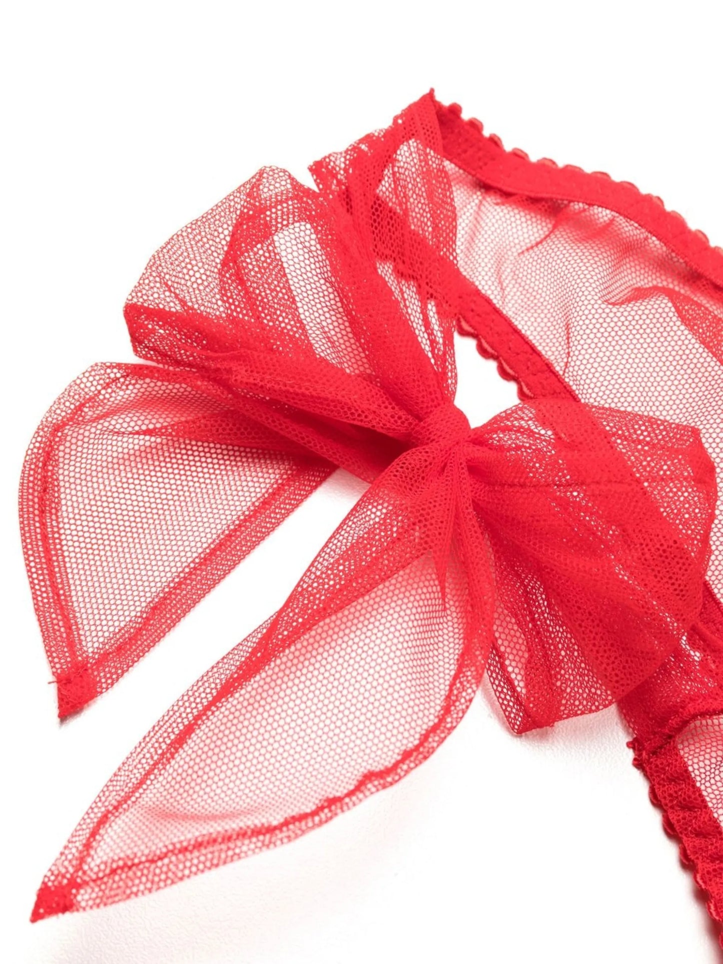 Danika sheer-finish briefs