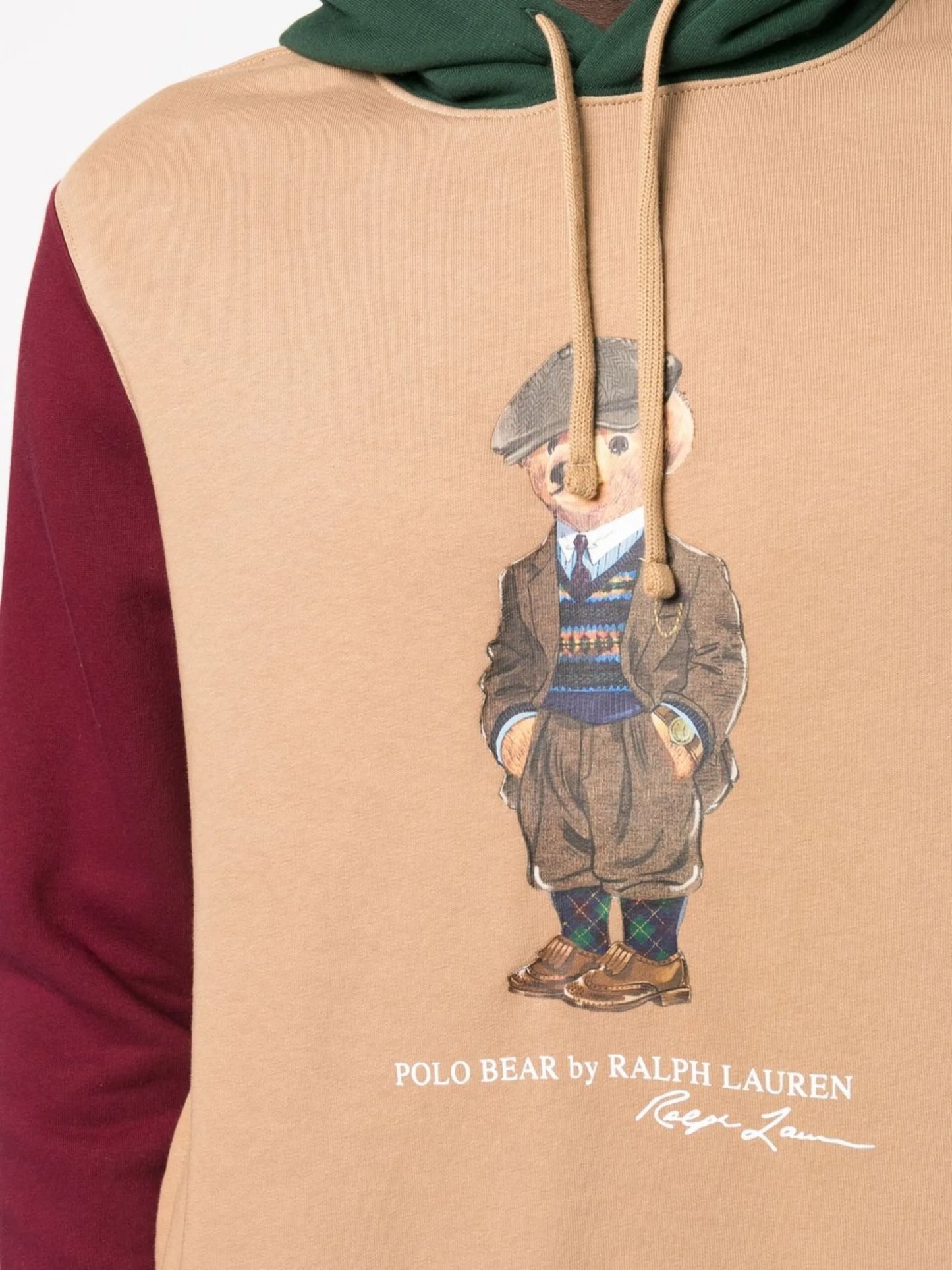 signature-polo-bear cotton hoodie