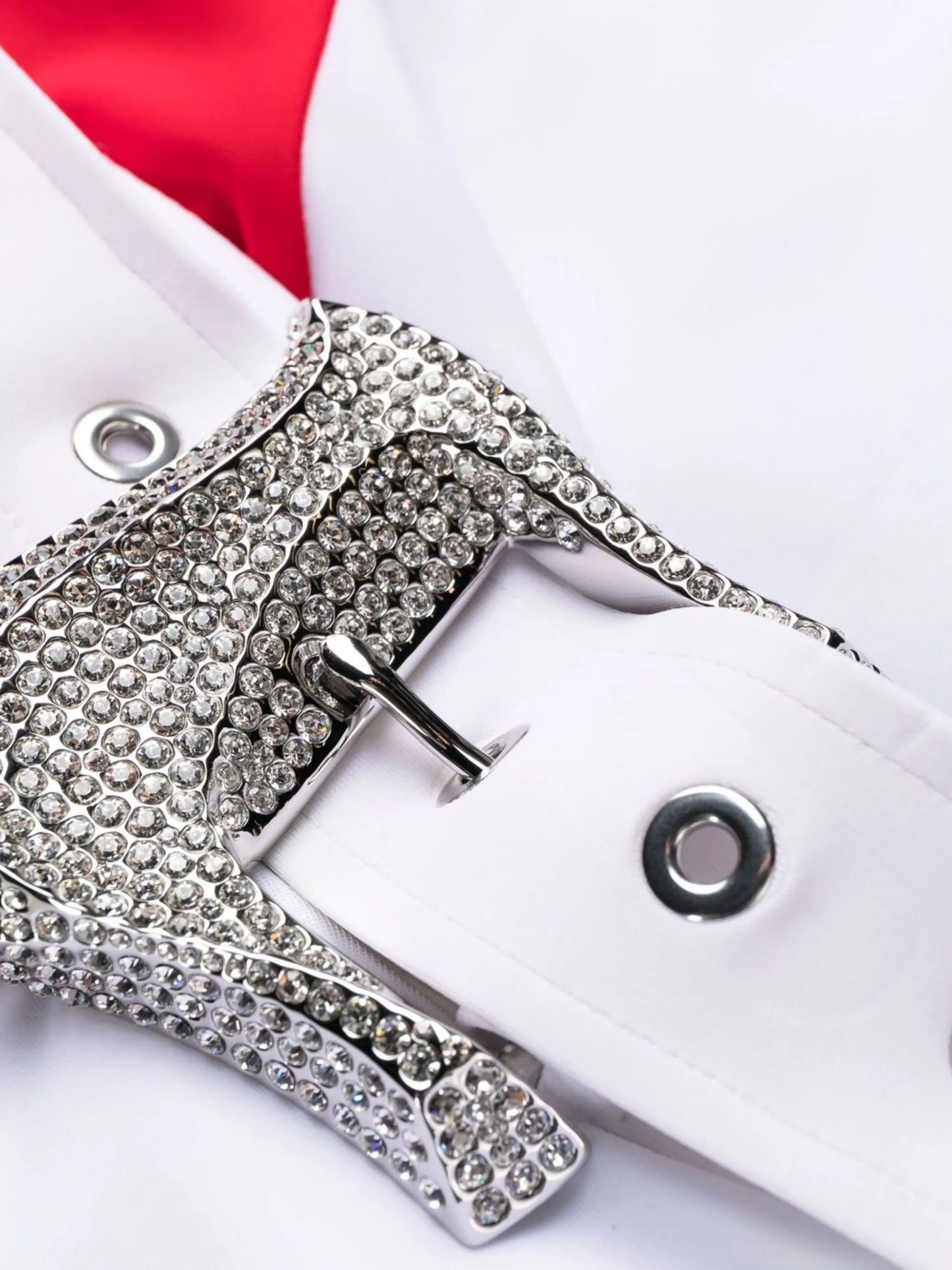 Patricia buckle-detail swim shorts