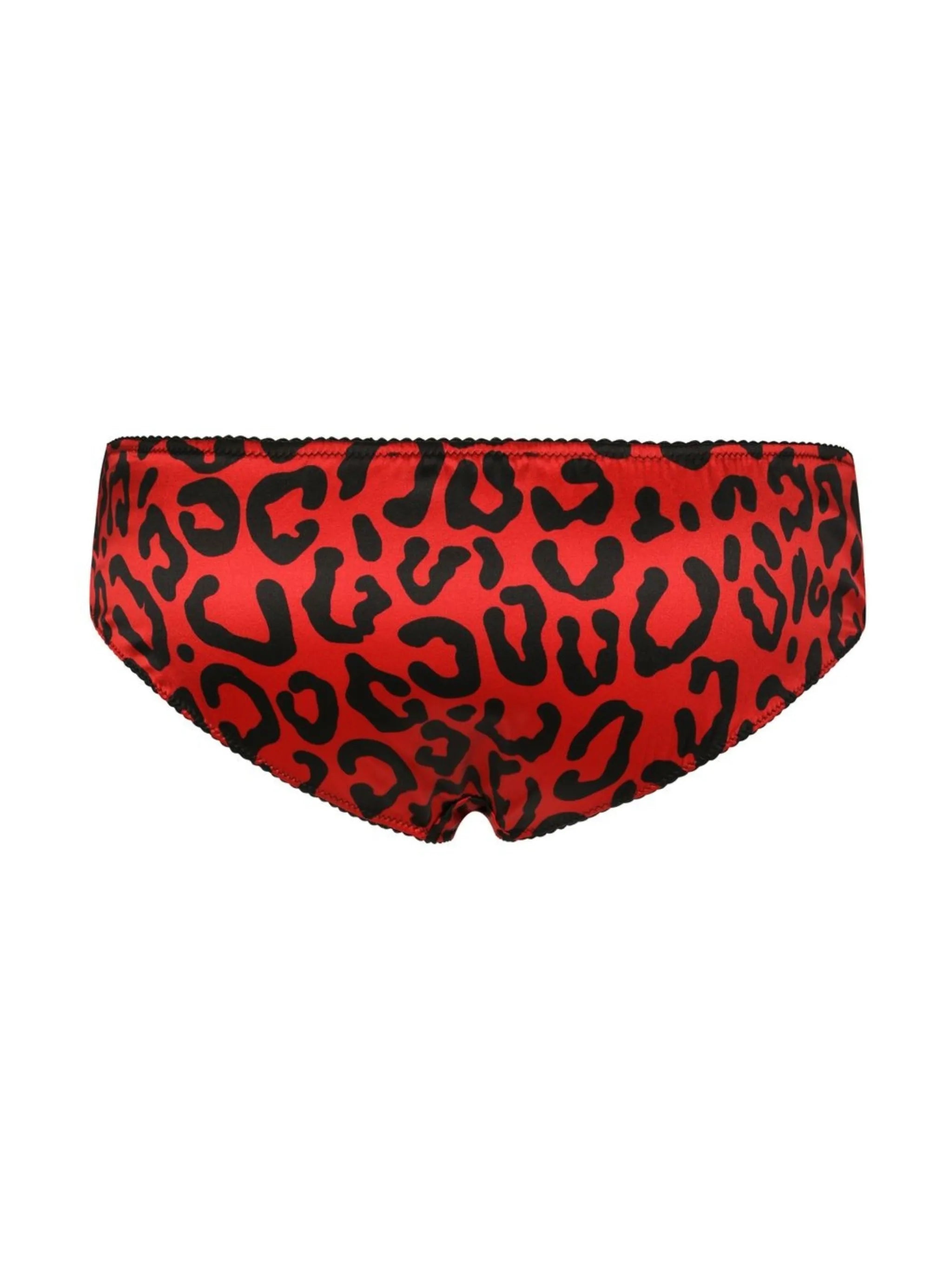 leopard-print briefs