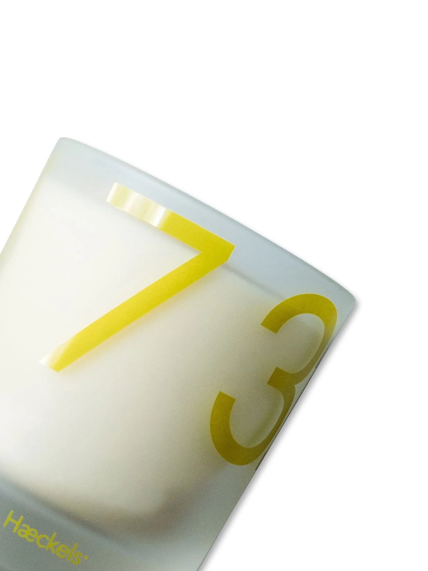 Mycelium scented candle