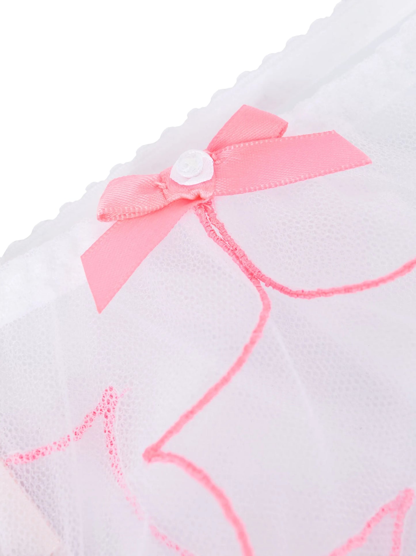 Lorna sheer briefs