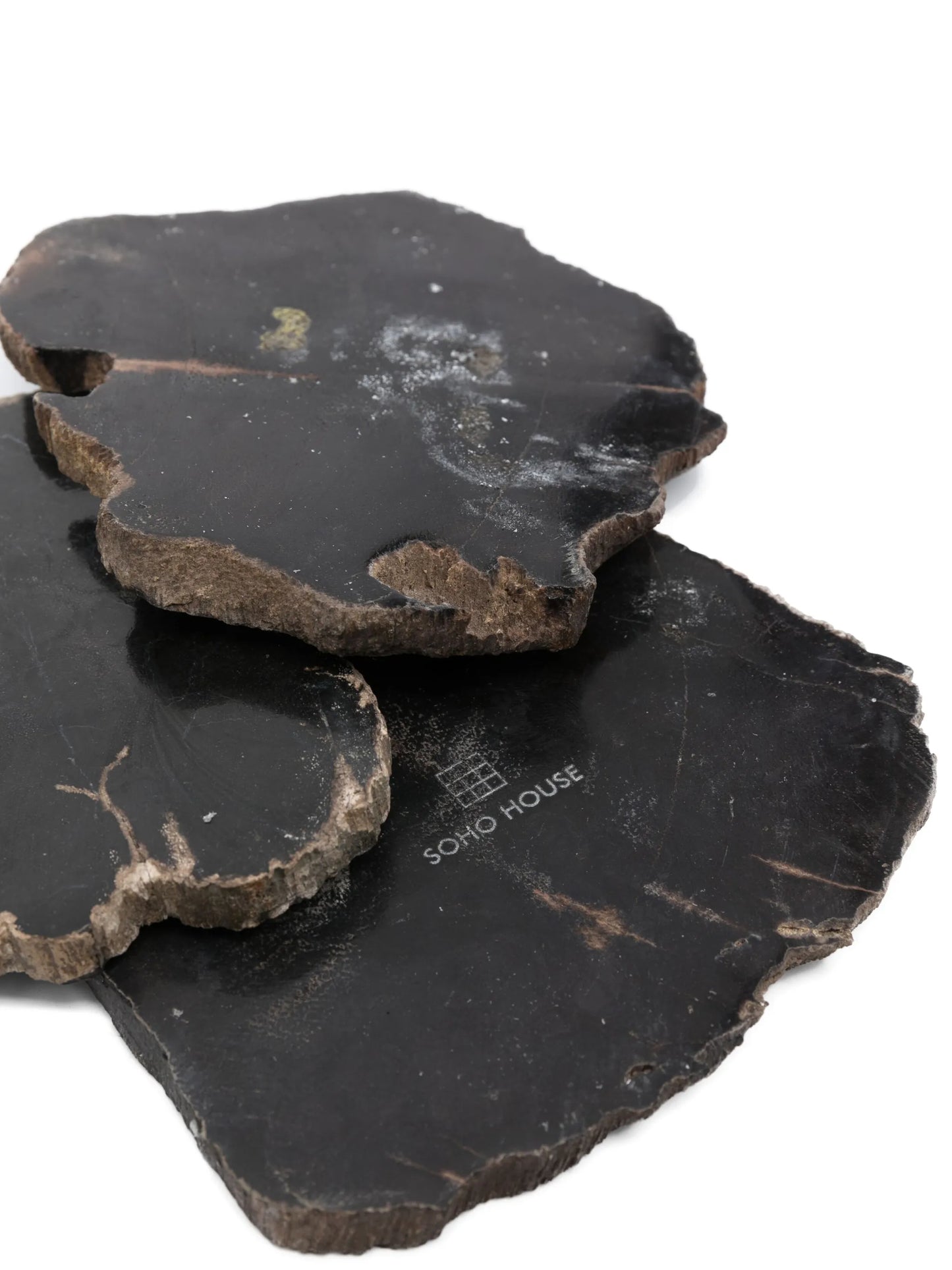 Balfern petrified wood set of four coasters