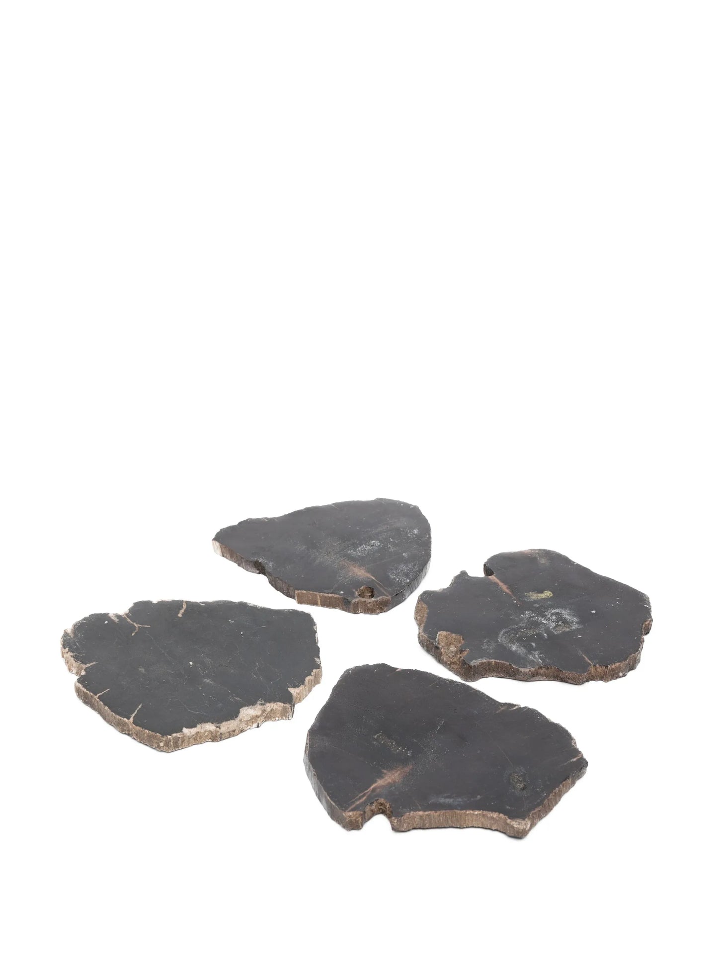 Balfern petrified wood set of four coasters