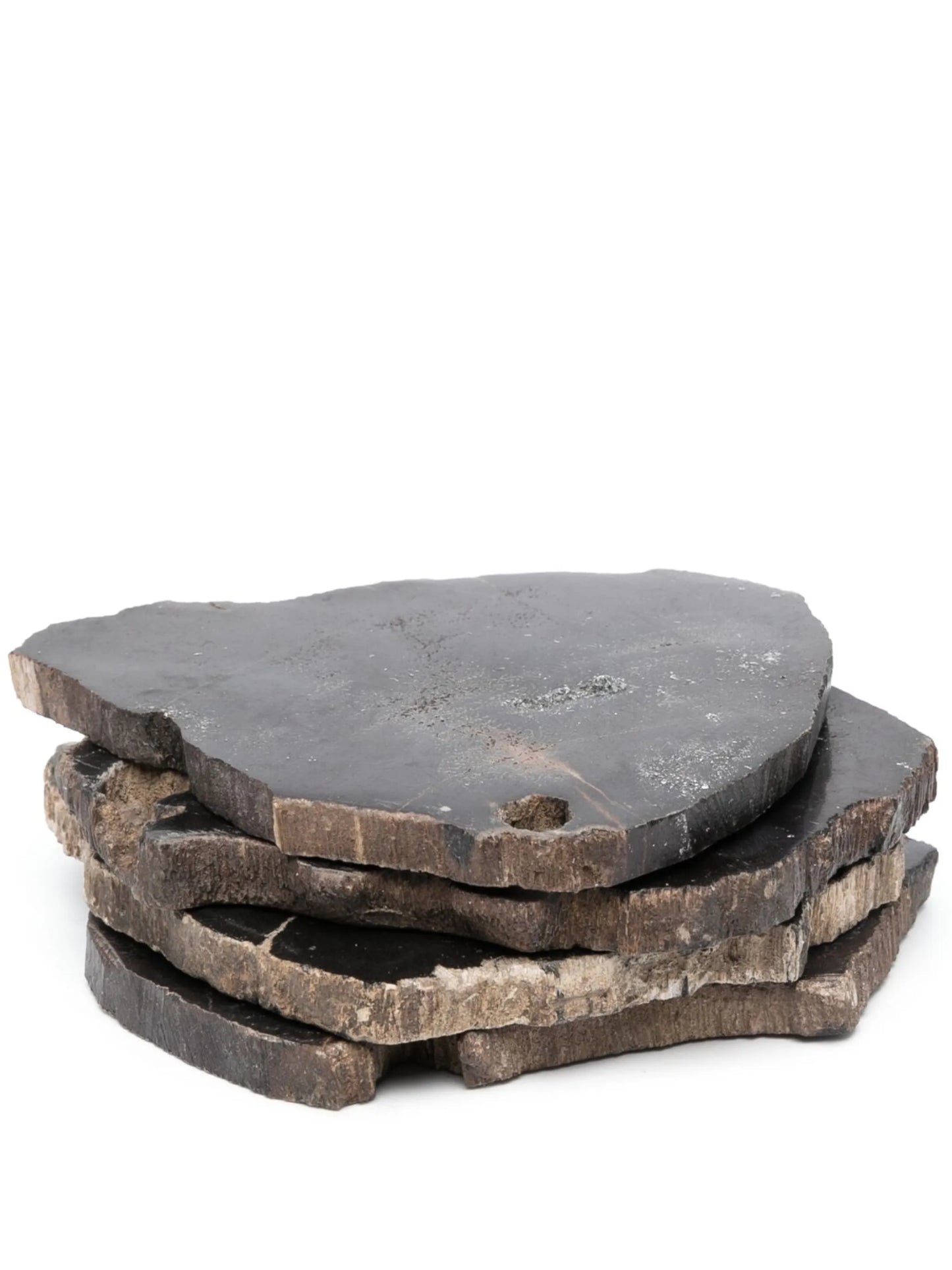 Balfern petrified wood set of four coasters