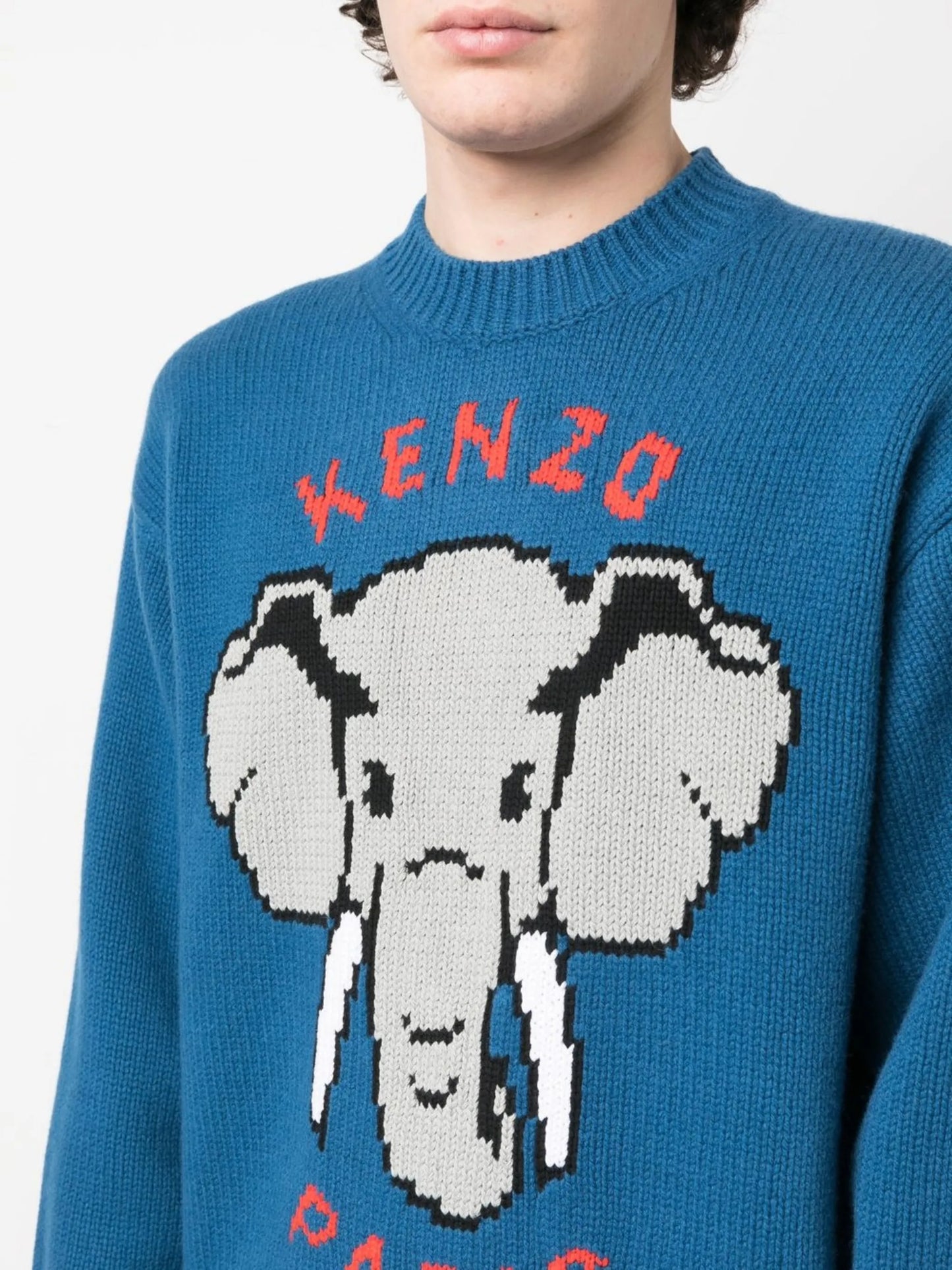 intarsia-knit long-sleeved jumper