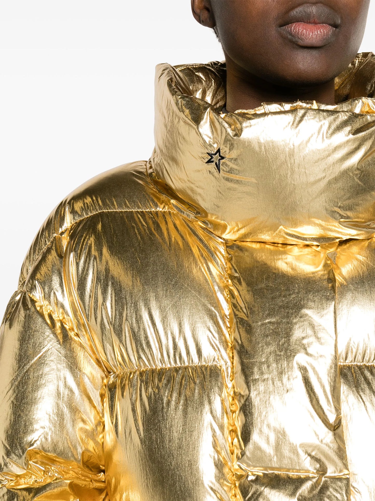 Parka III metallic ski jacket