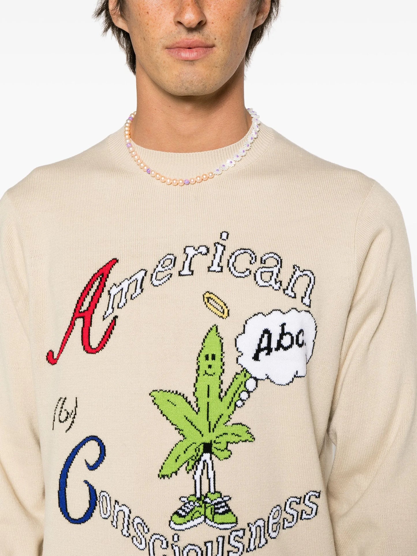 American Consciousness crew-neck jumper