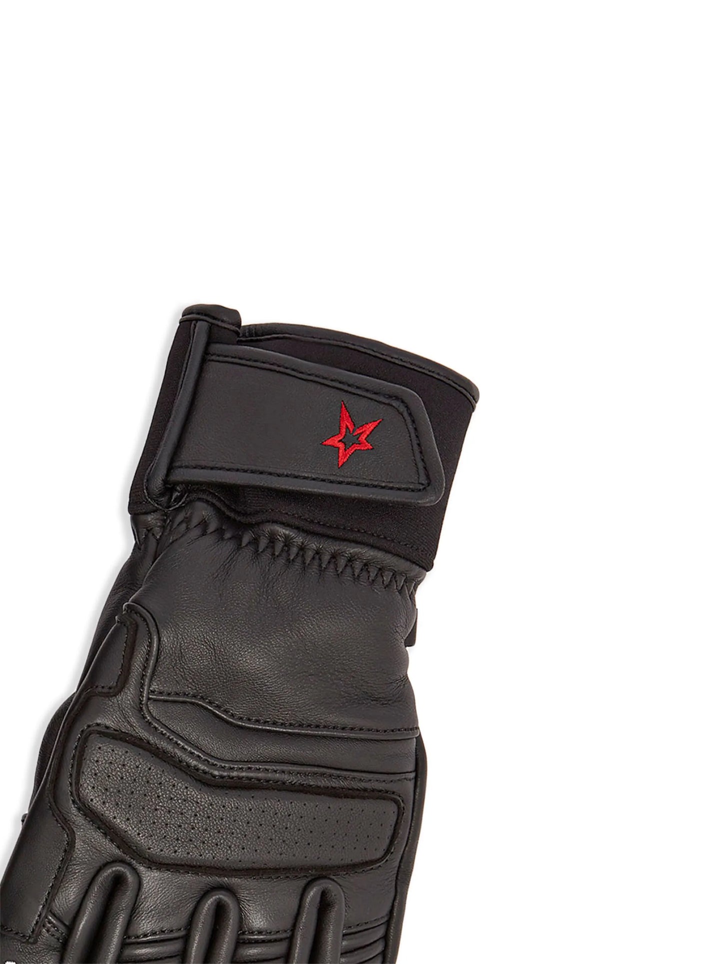PM ski gloves