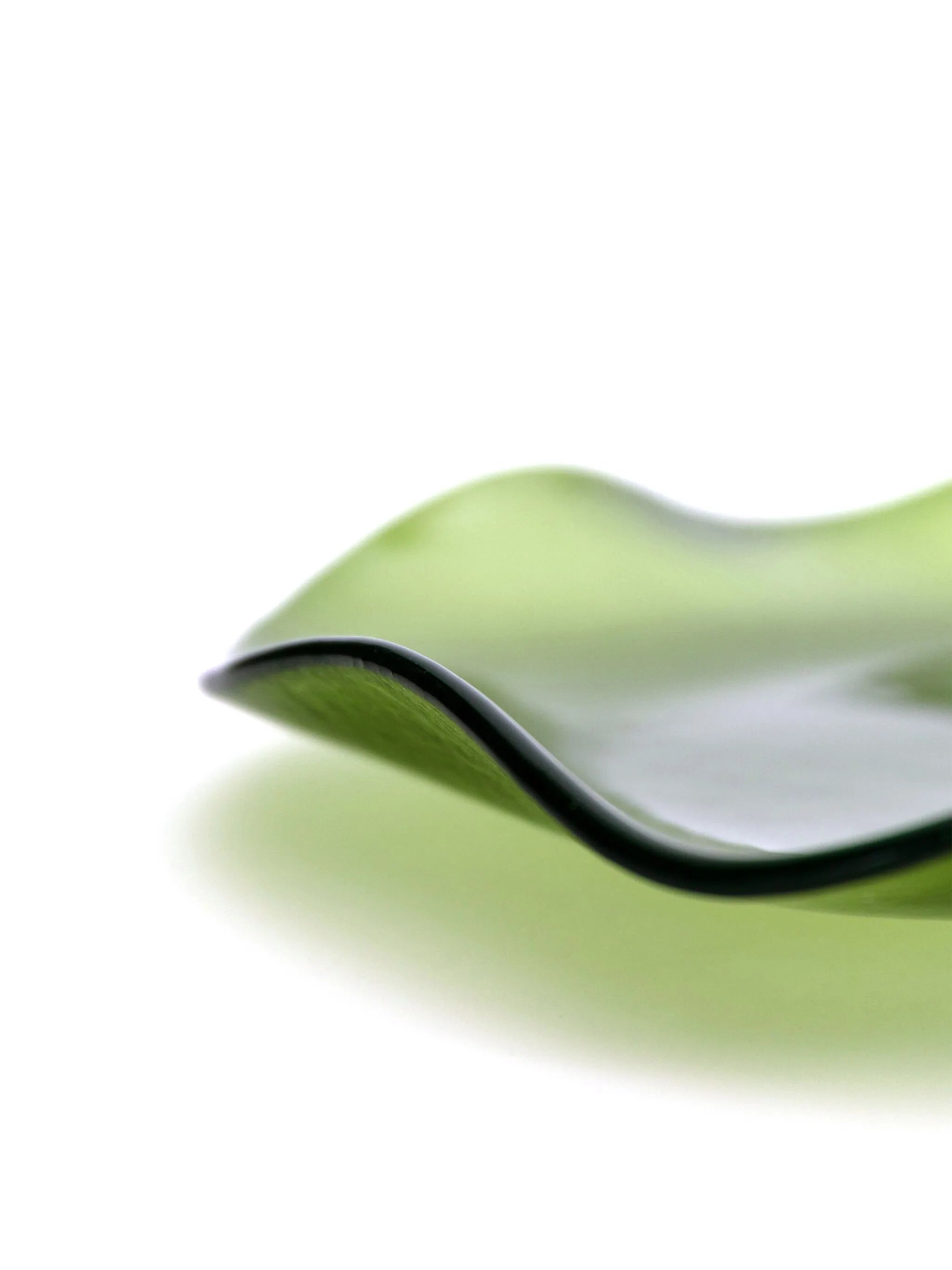 Curved Edge plate (19cm)