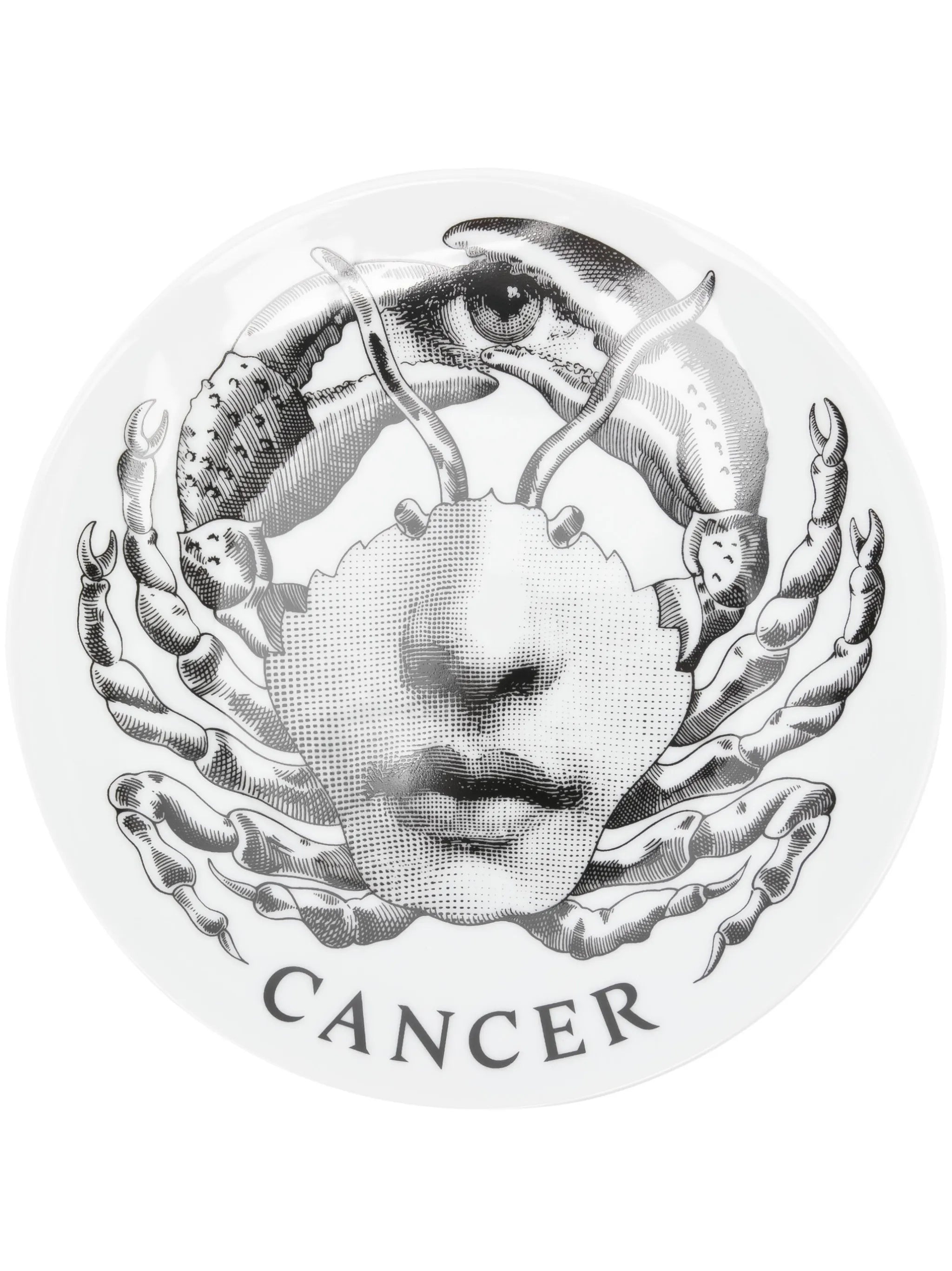 Tema e Variazioni n.351 Cancer wall plate (26cm)