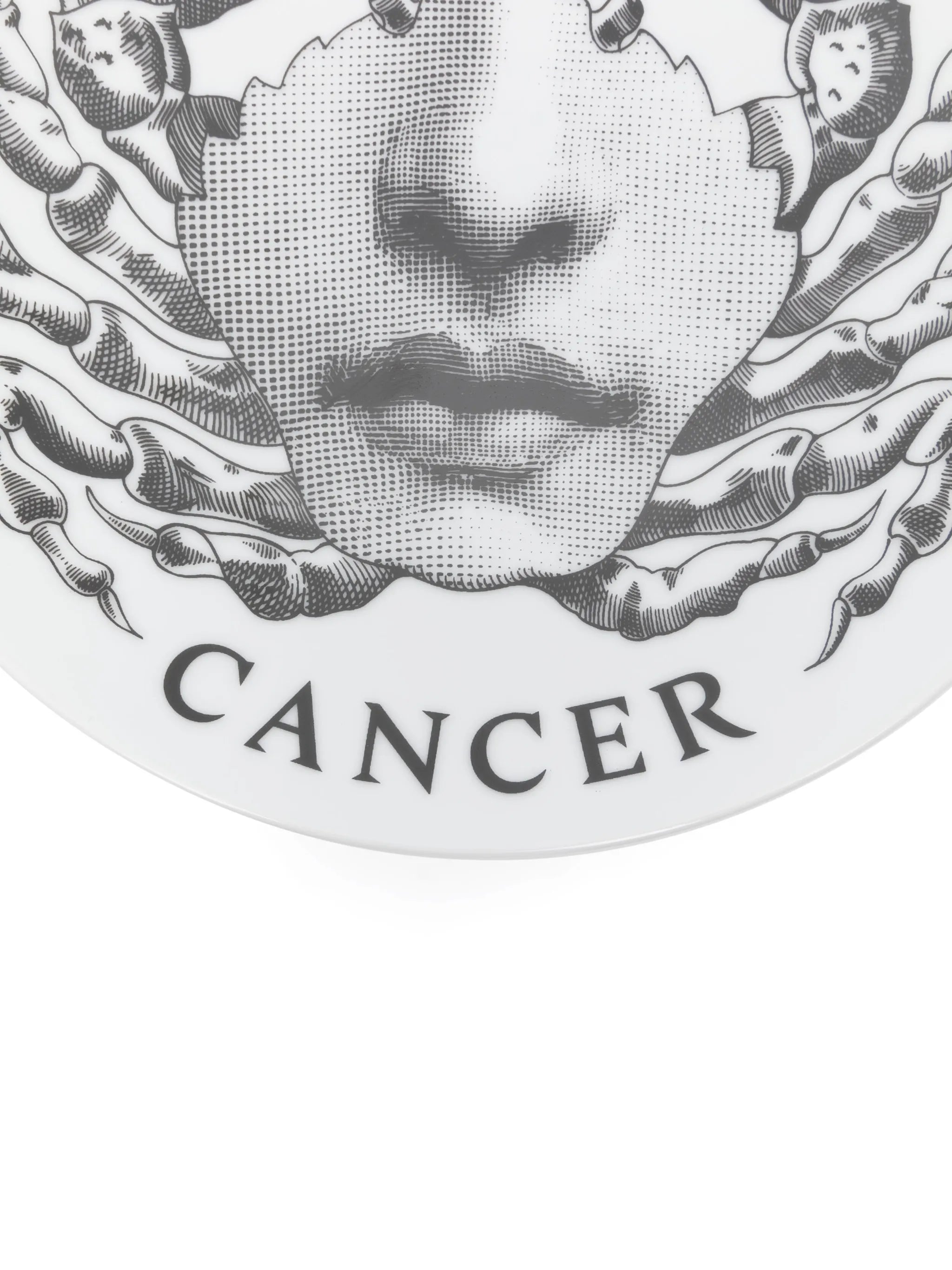 Tema e Variazioni n.351 Cancer wall plate (26cm)