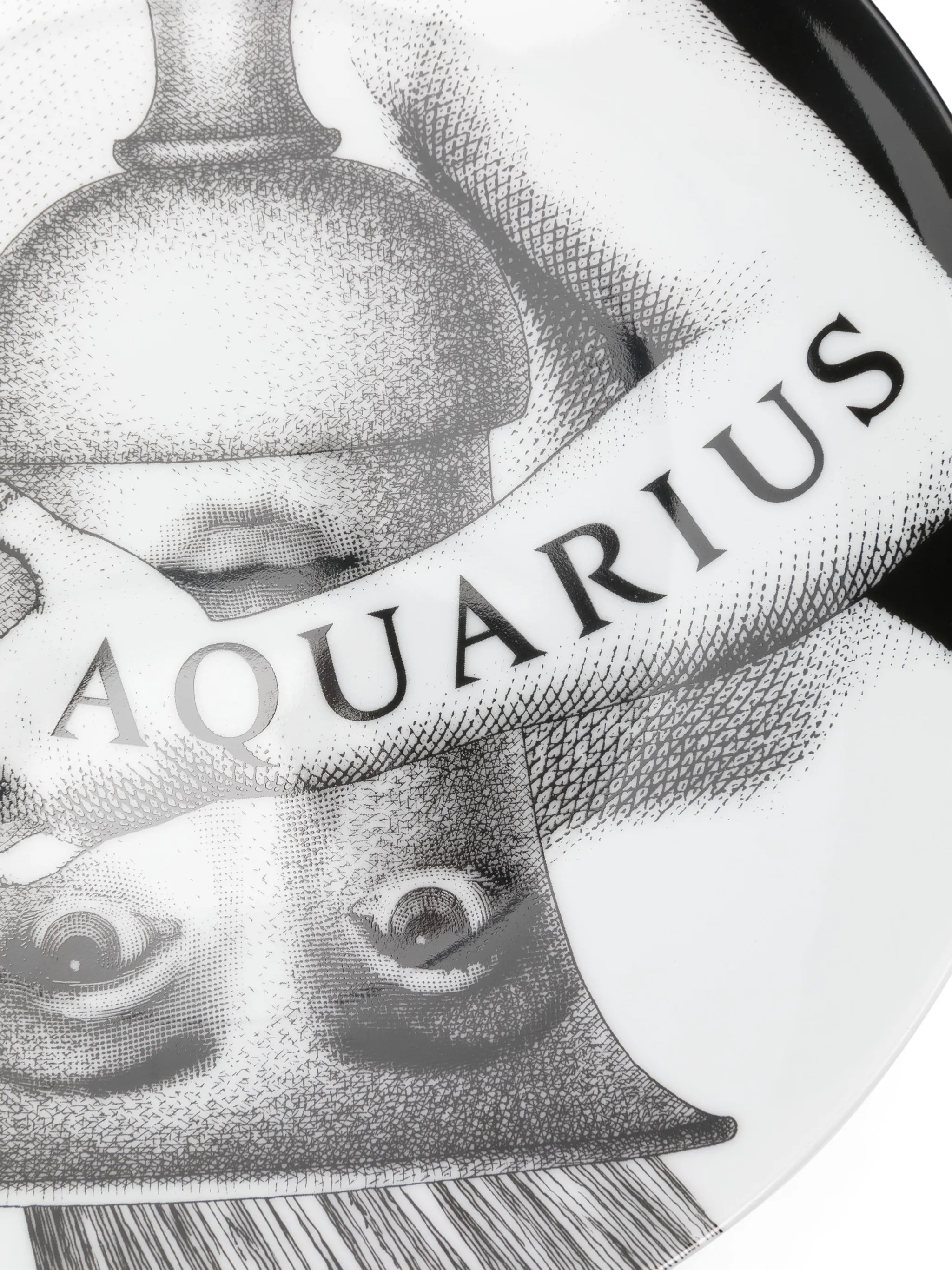 Tema e Variazioni n.358 Aquarius wall plate (26cm)