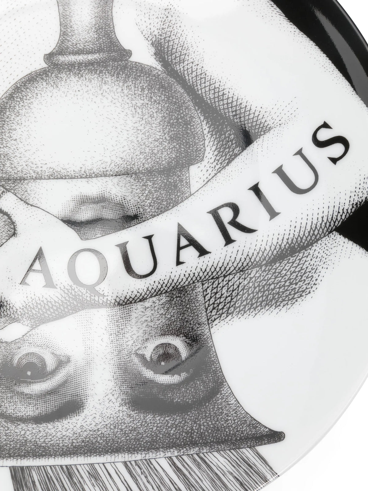 Tema e Variazioni n.358 Aquarius wall plate (26cm)