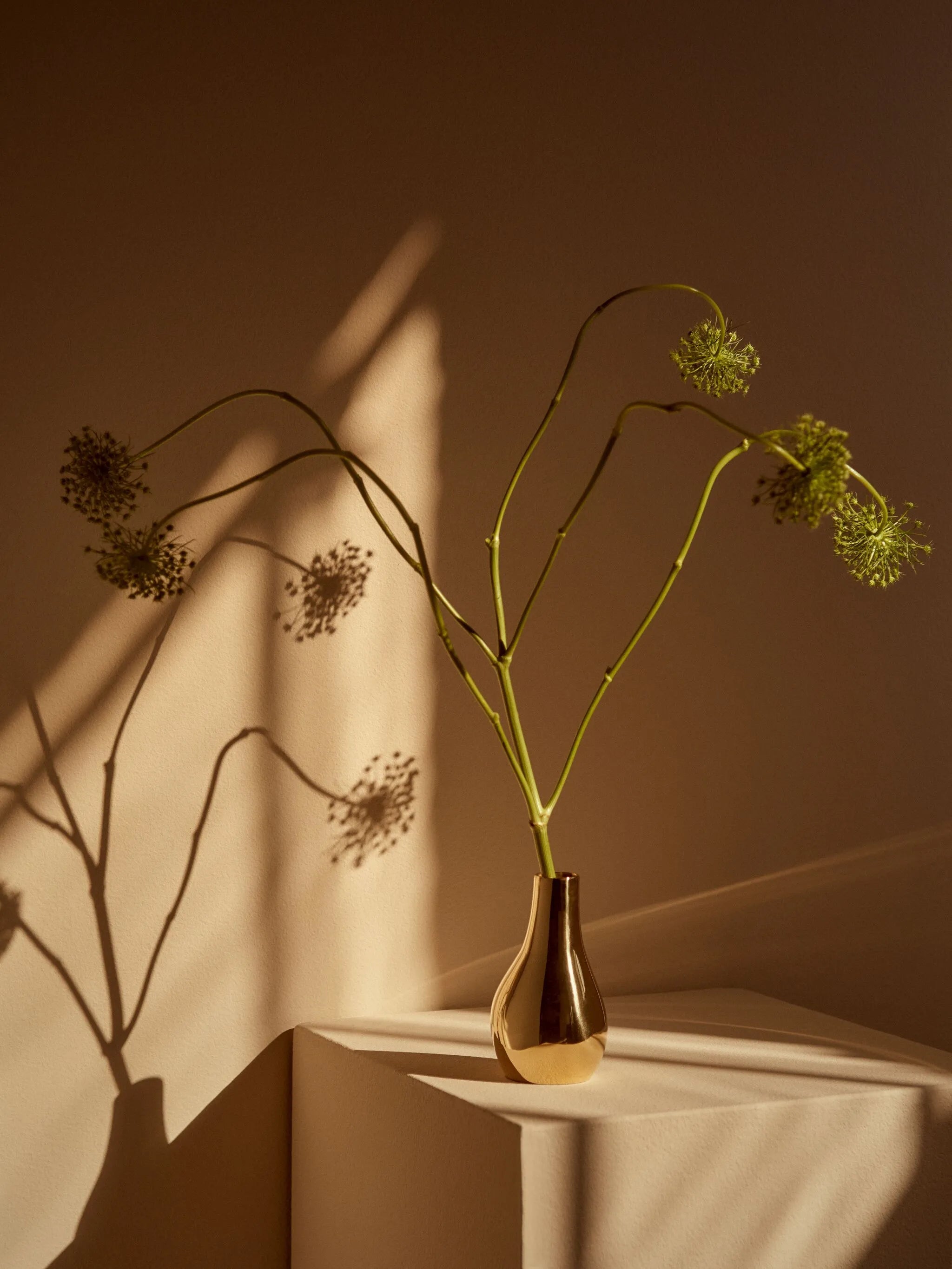 medium brass vase