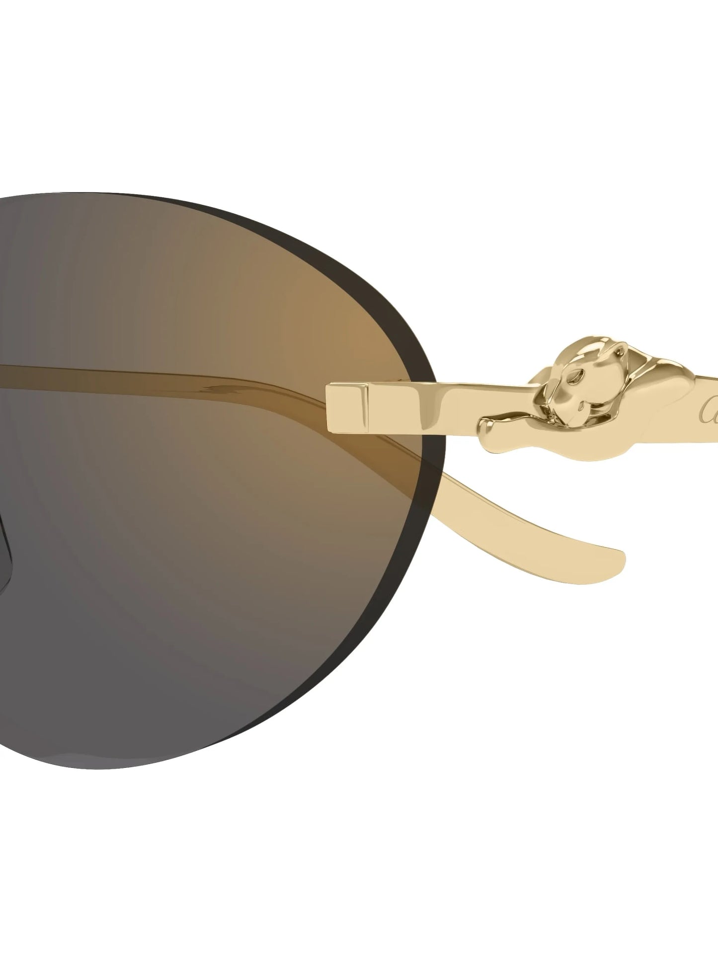 oval-frame sunglasses