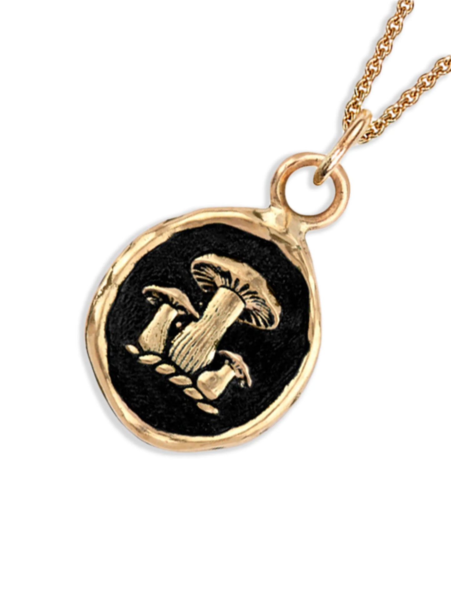 14K yellow gold Earthy Talisman pendant necklace