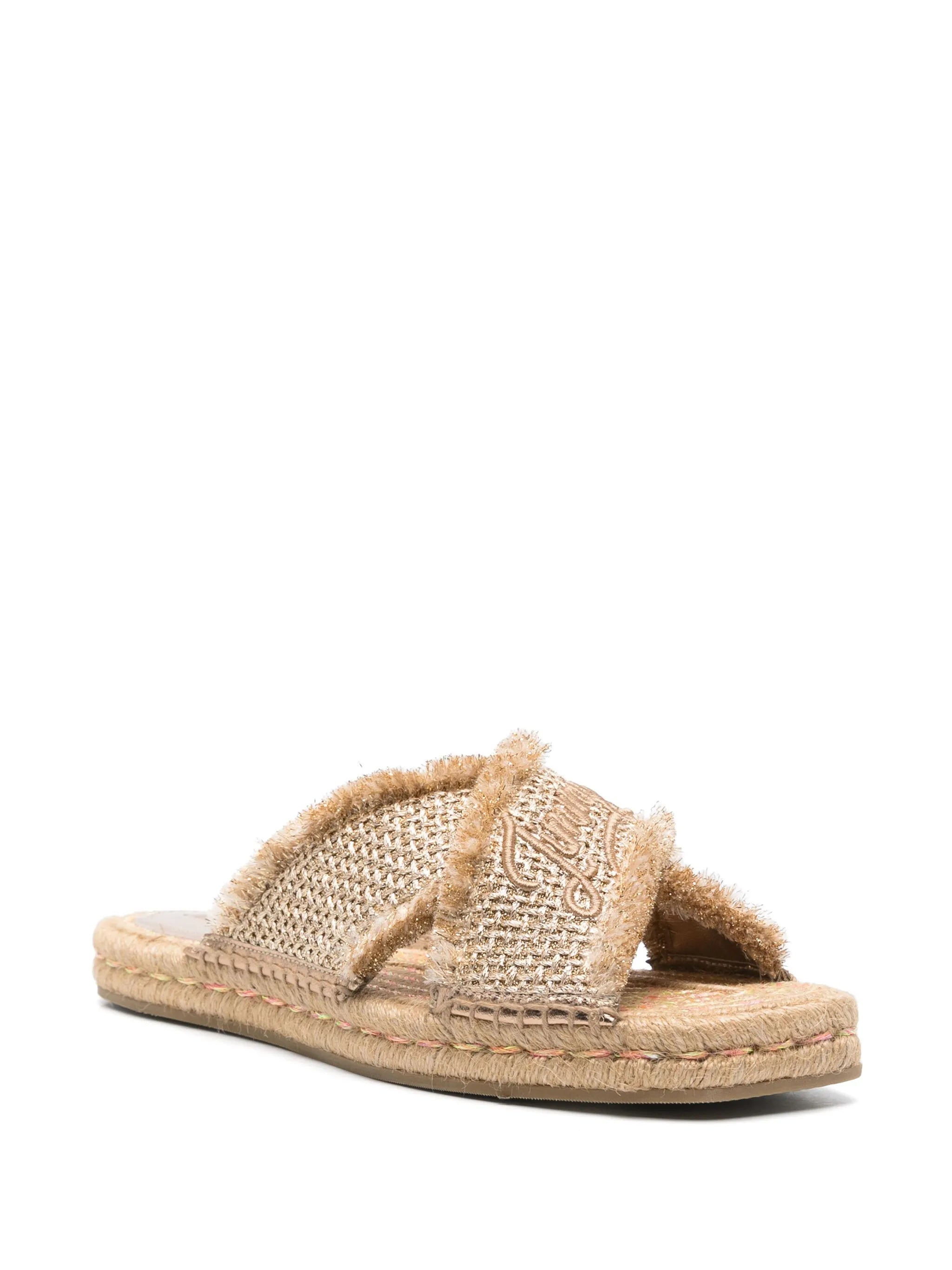 Aciel slides