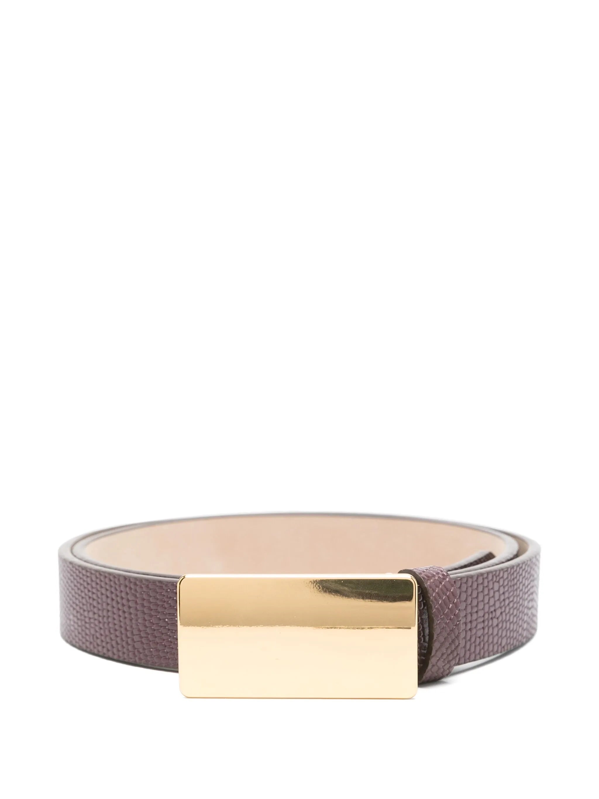 Plate belt