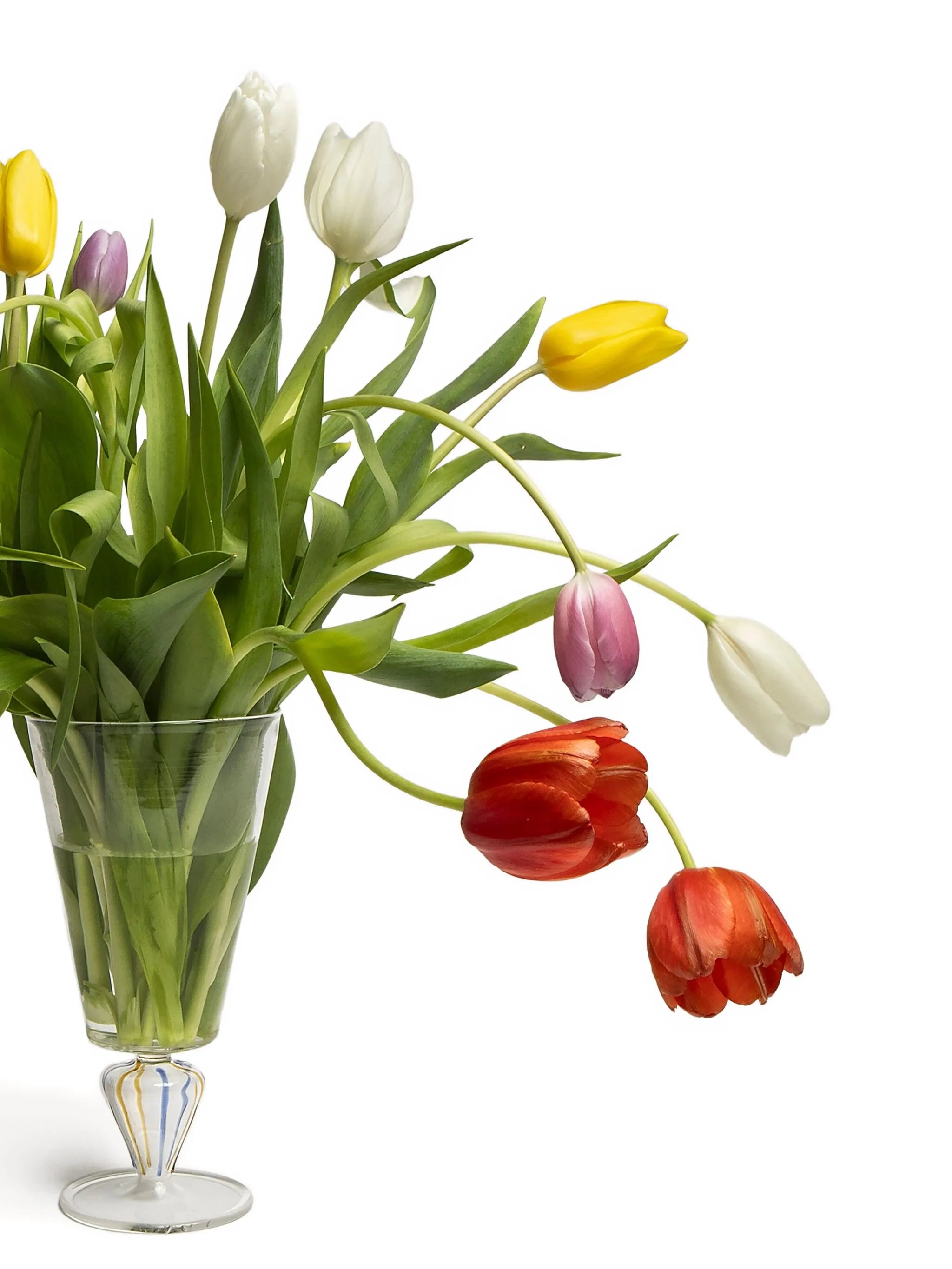 coloured-stem vase