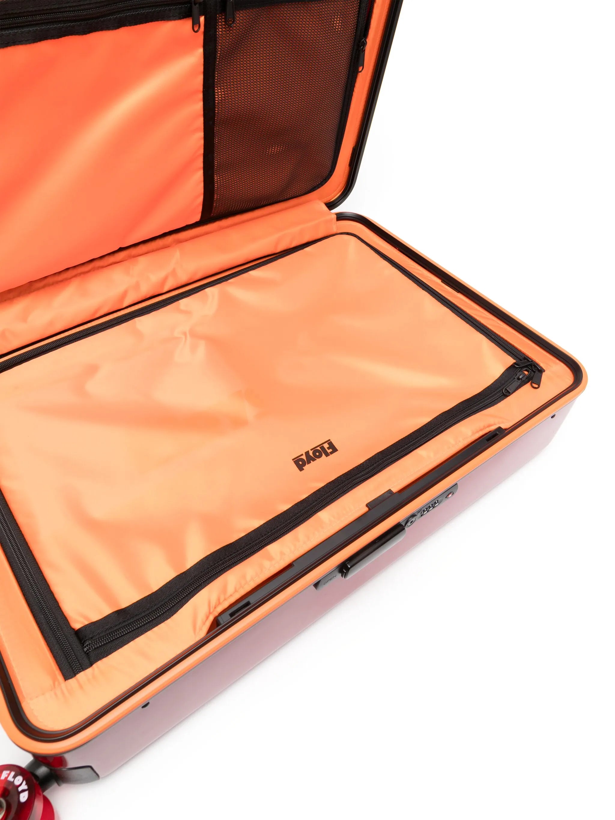 Check-In luggage