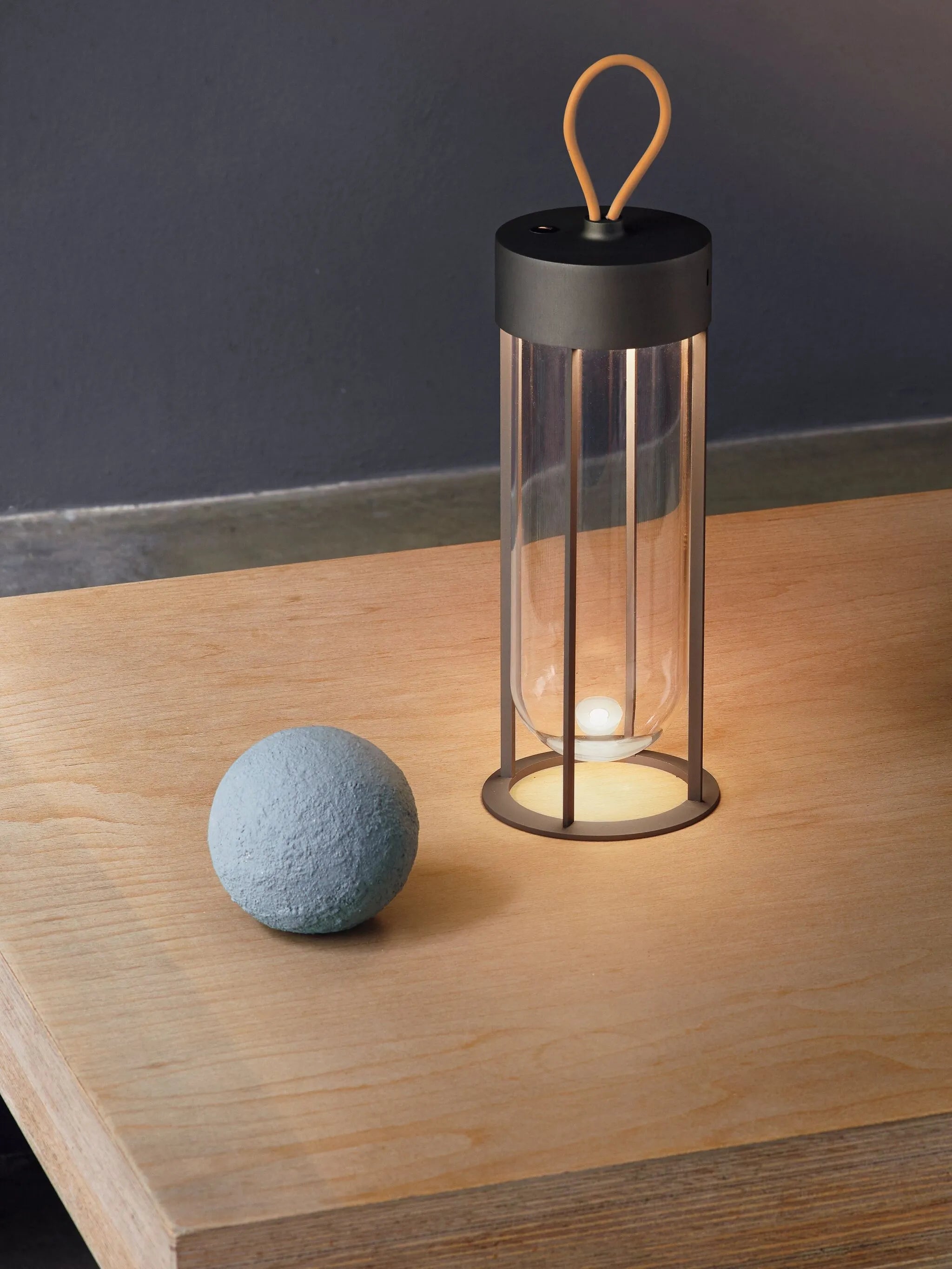 In Vitro lamp