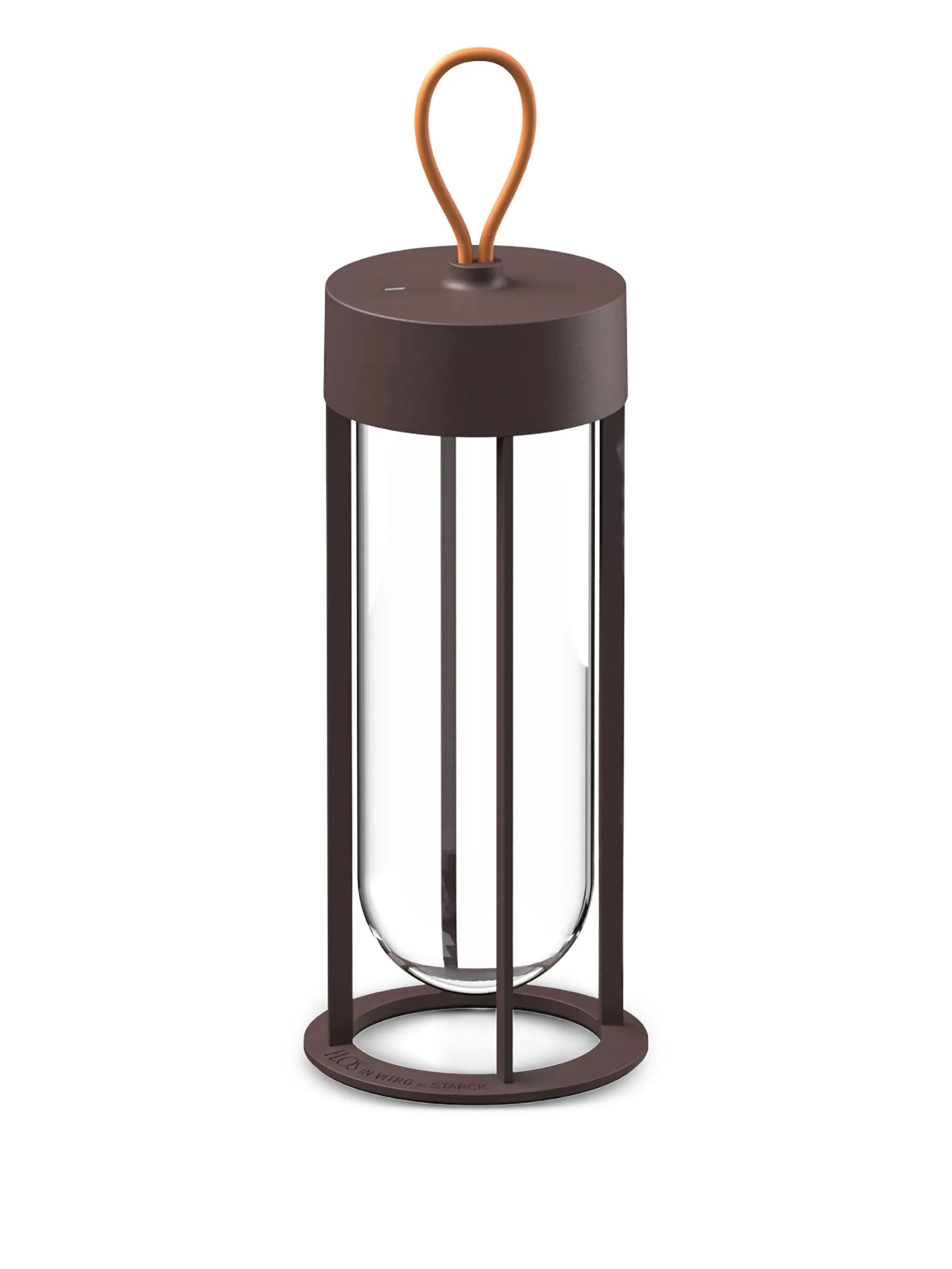 In Vitro lamp
