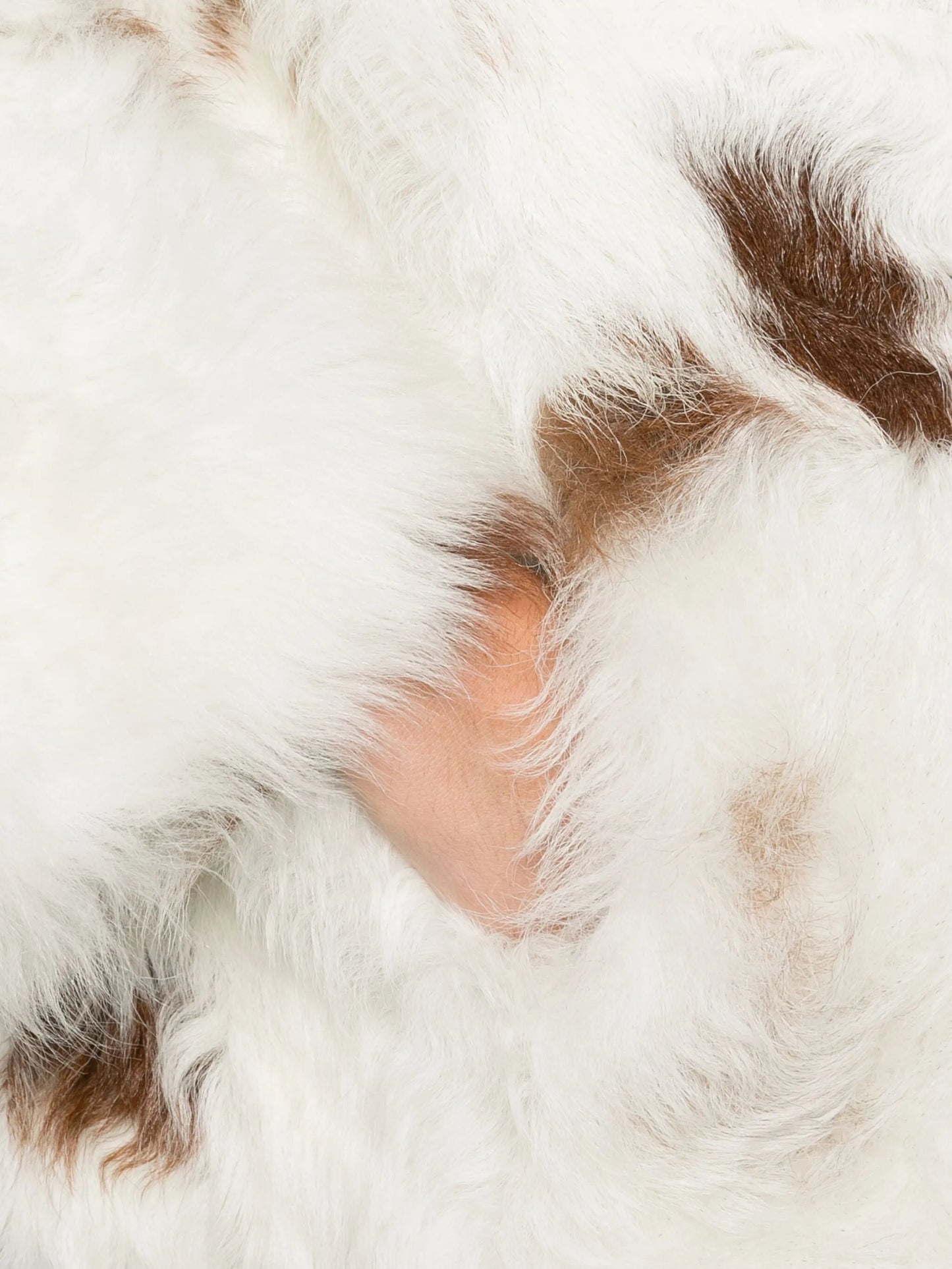 Hypnotic Spot shearling jacket