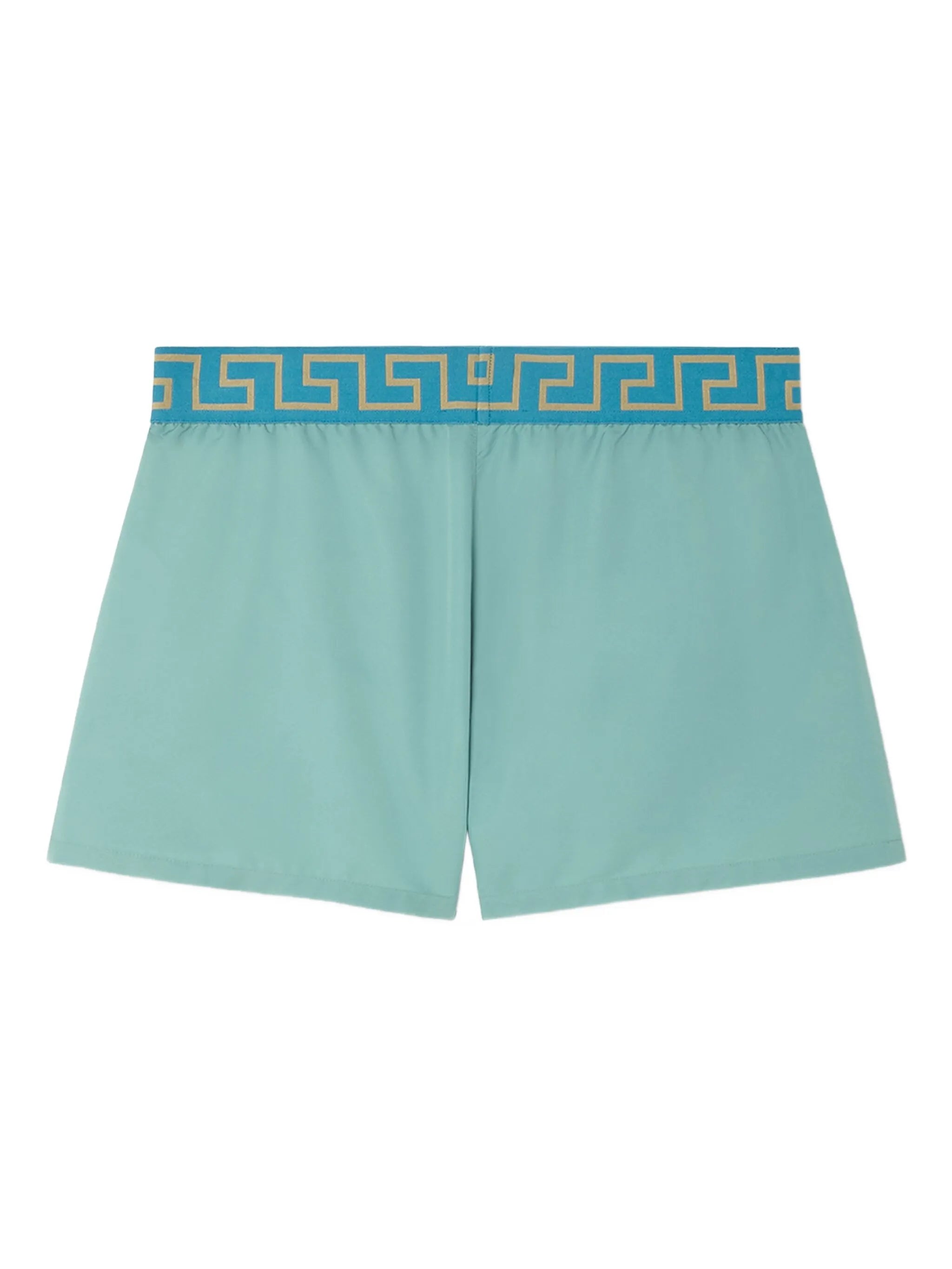 Greca-border swim trunks