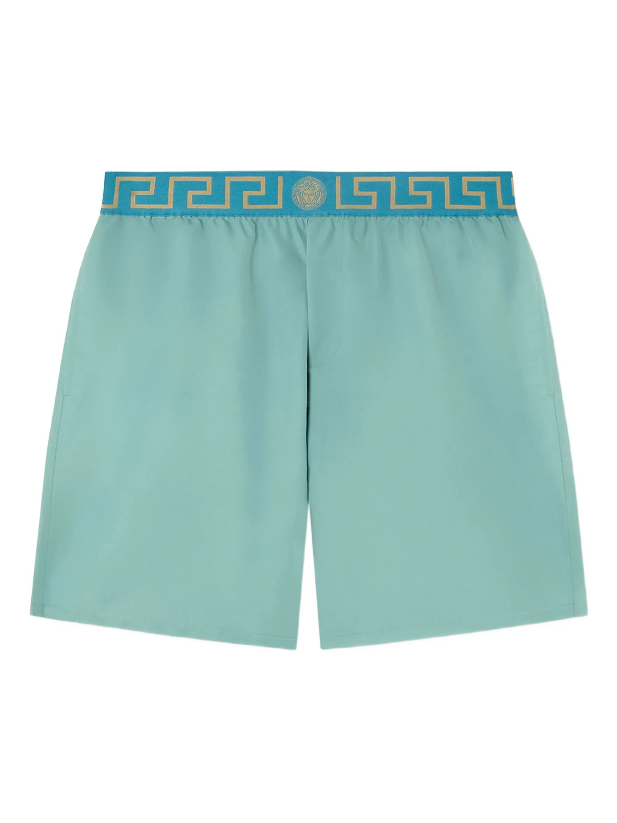 Greca Border swim shorts