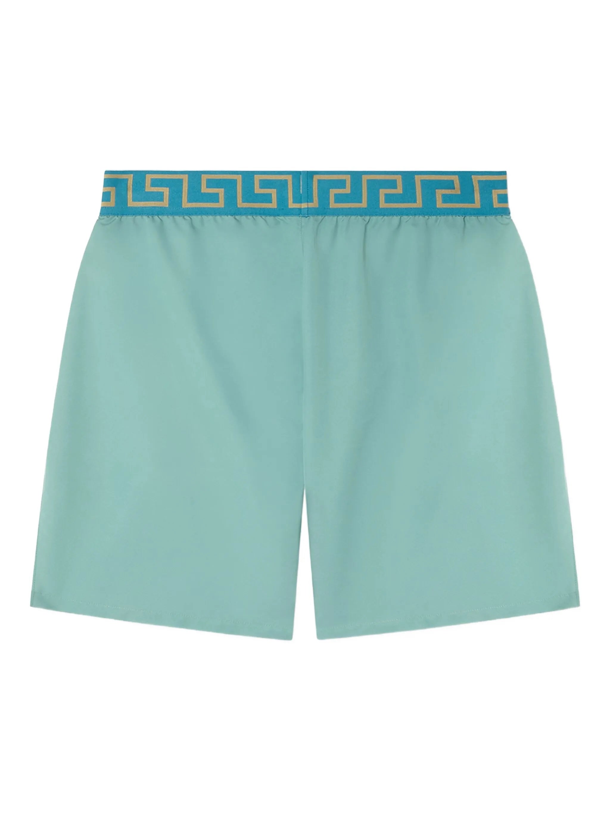 Greca Border swim shorts