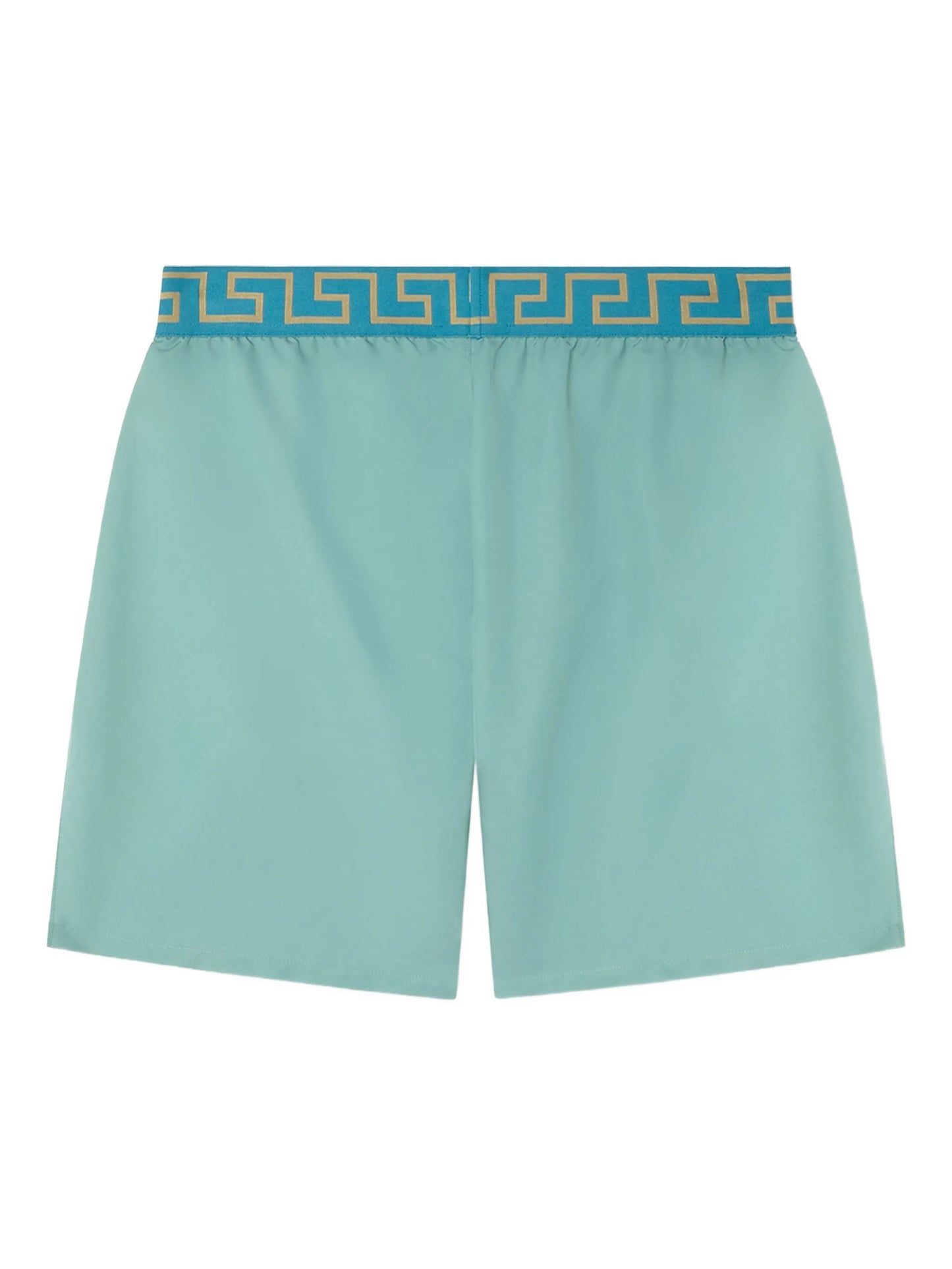 greca border swim shorts