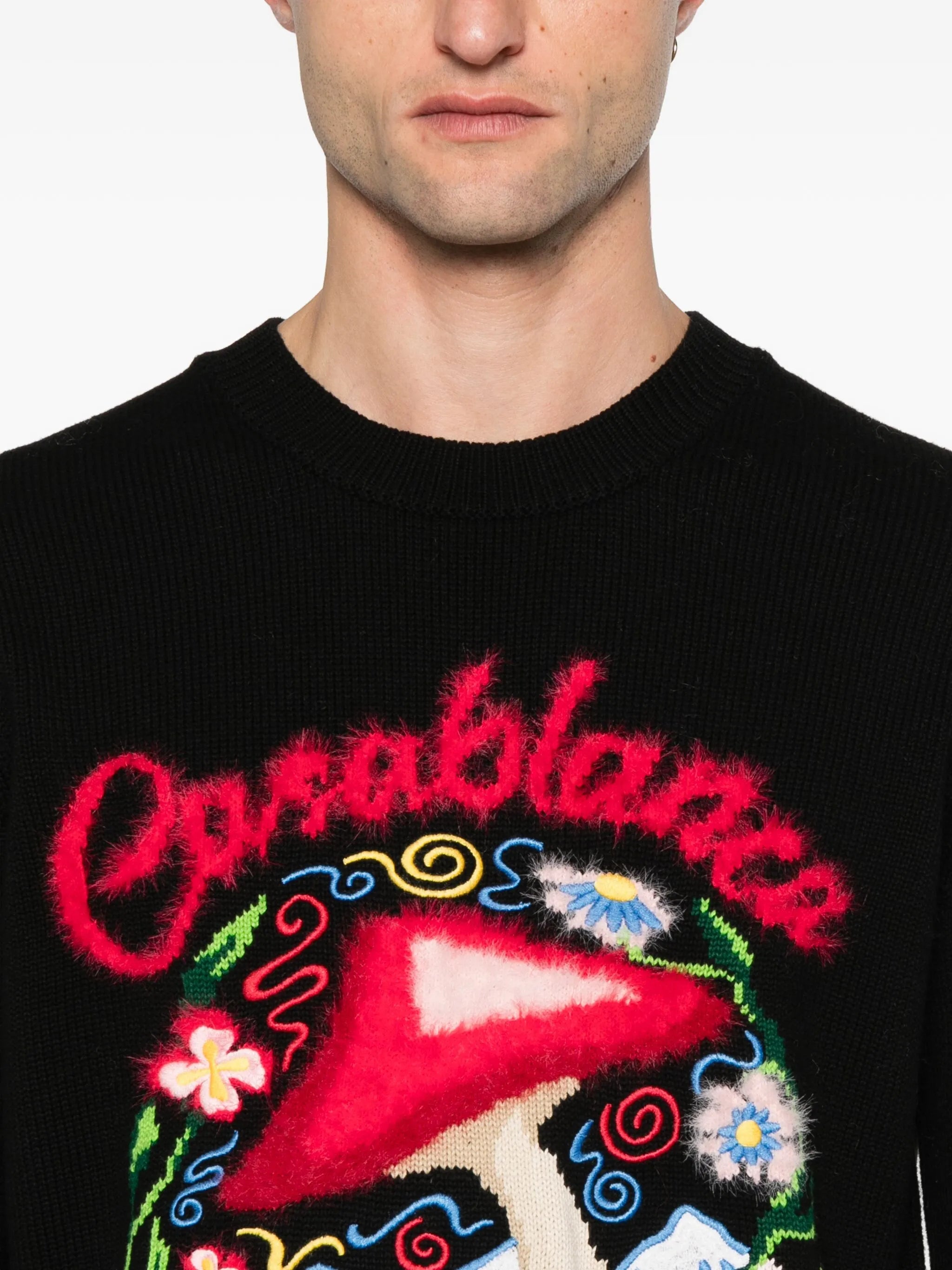 mushroom-emblem sweater