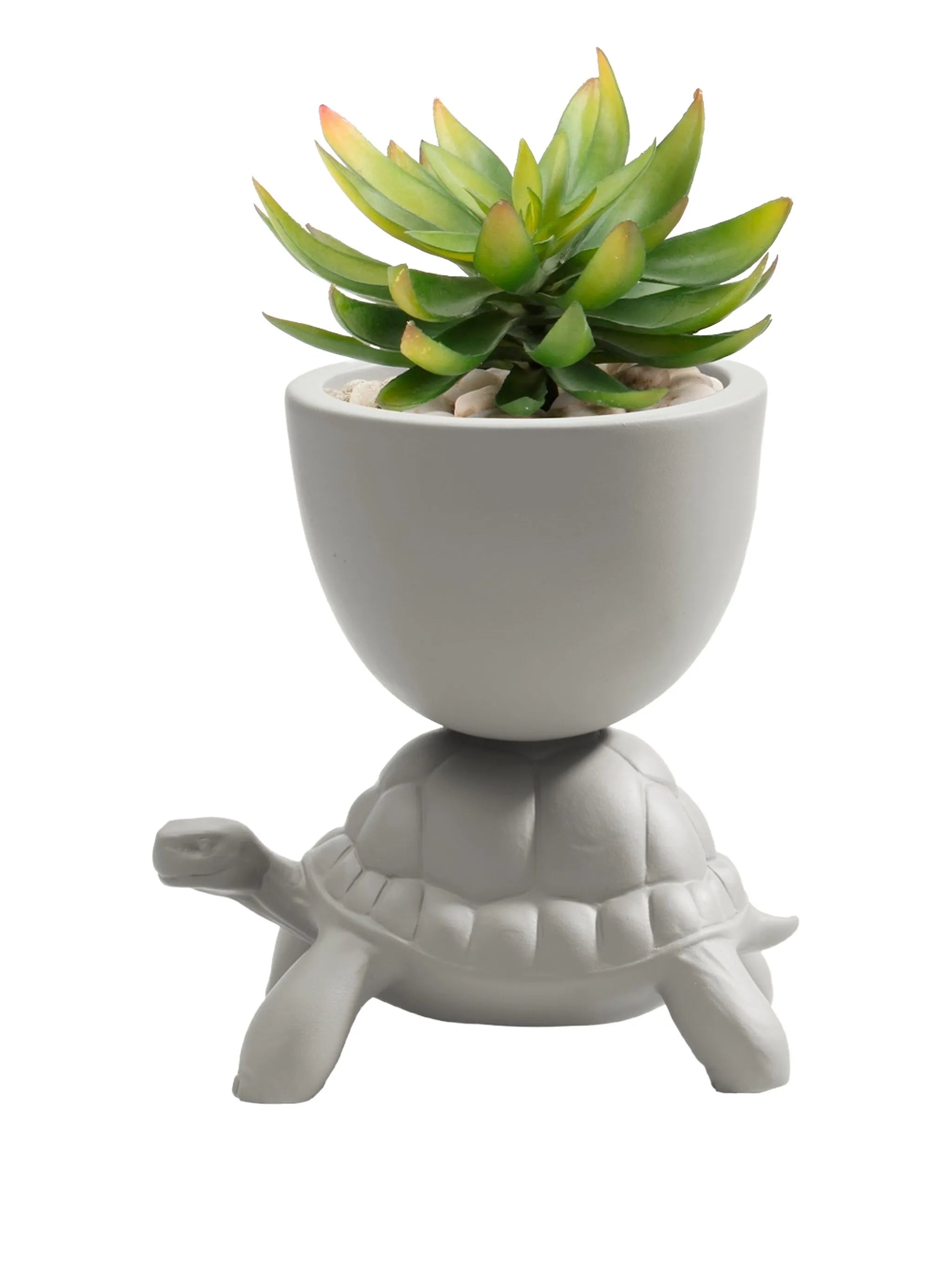 Turtle Carry ceramic planter