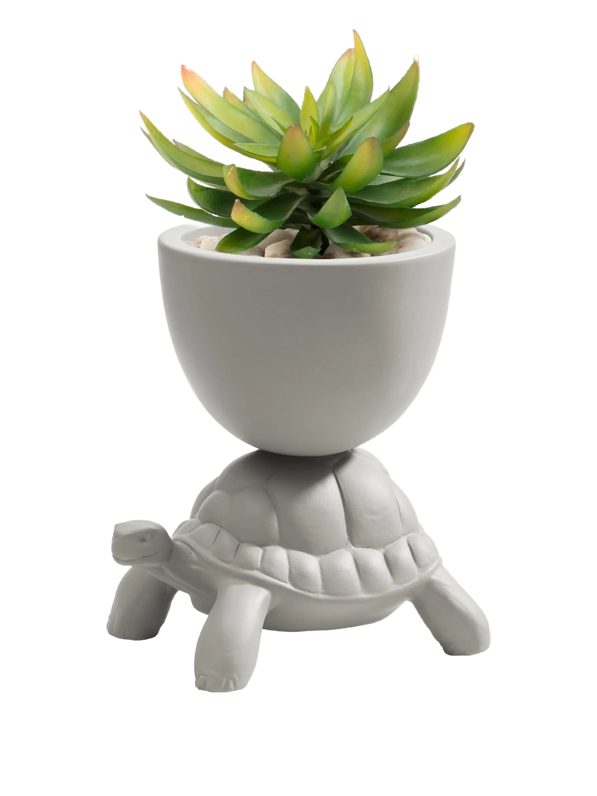Turtle Carry ceramic planter