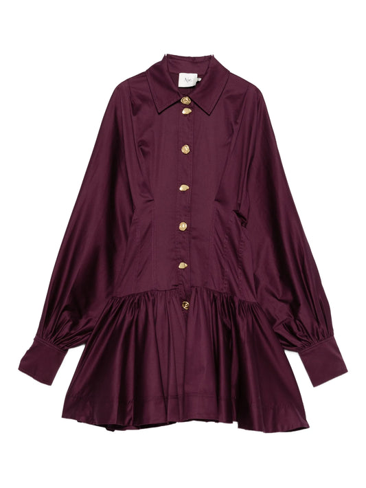Alexia mini dress